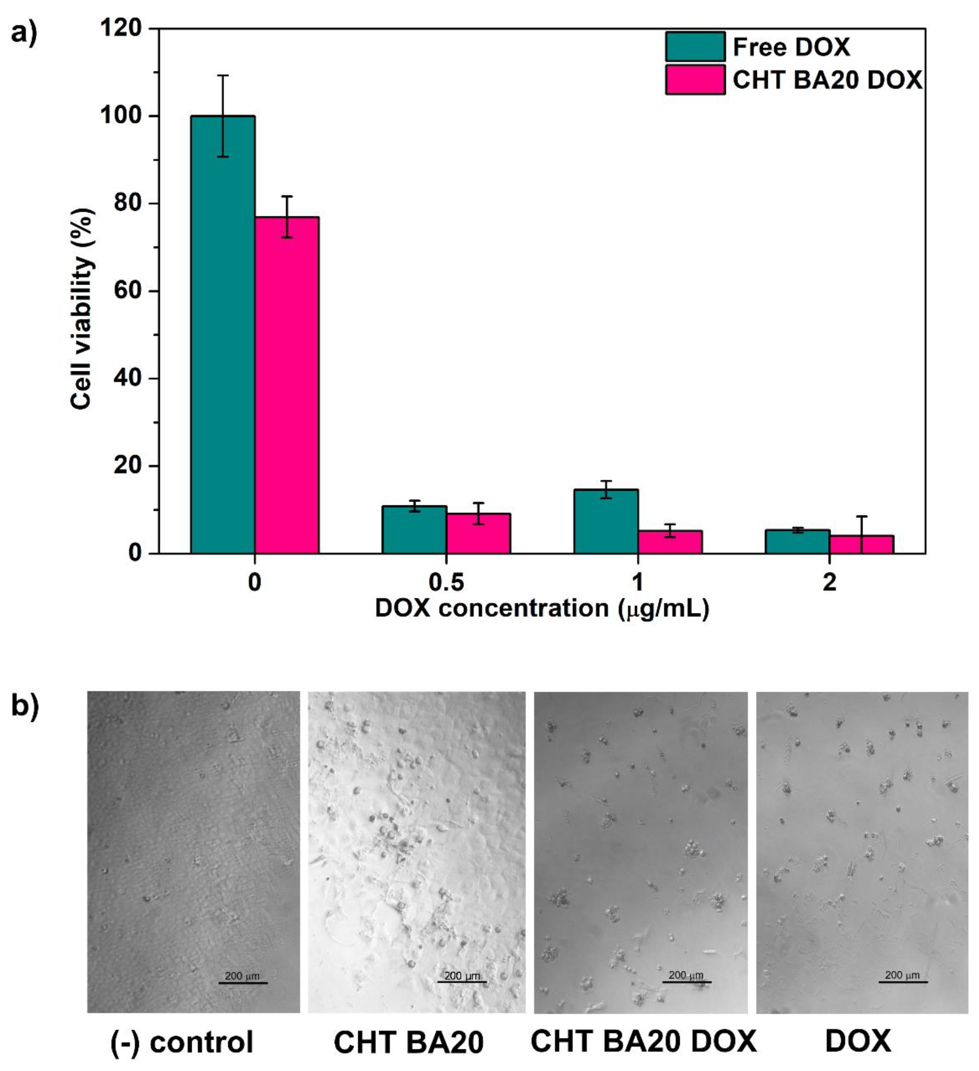 Polymers 14 04753 g006 Polymers 14 04753 g006
