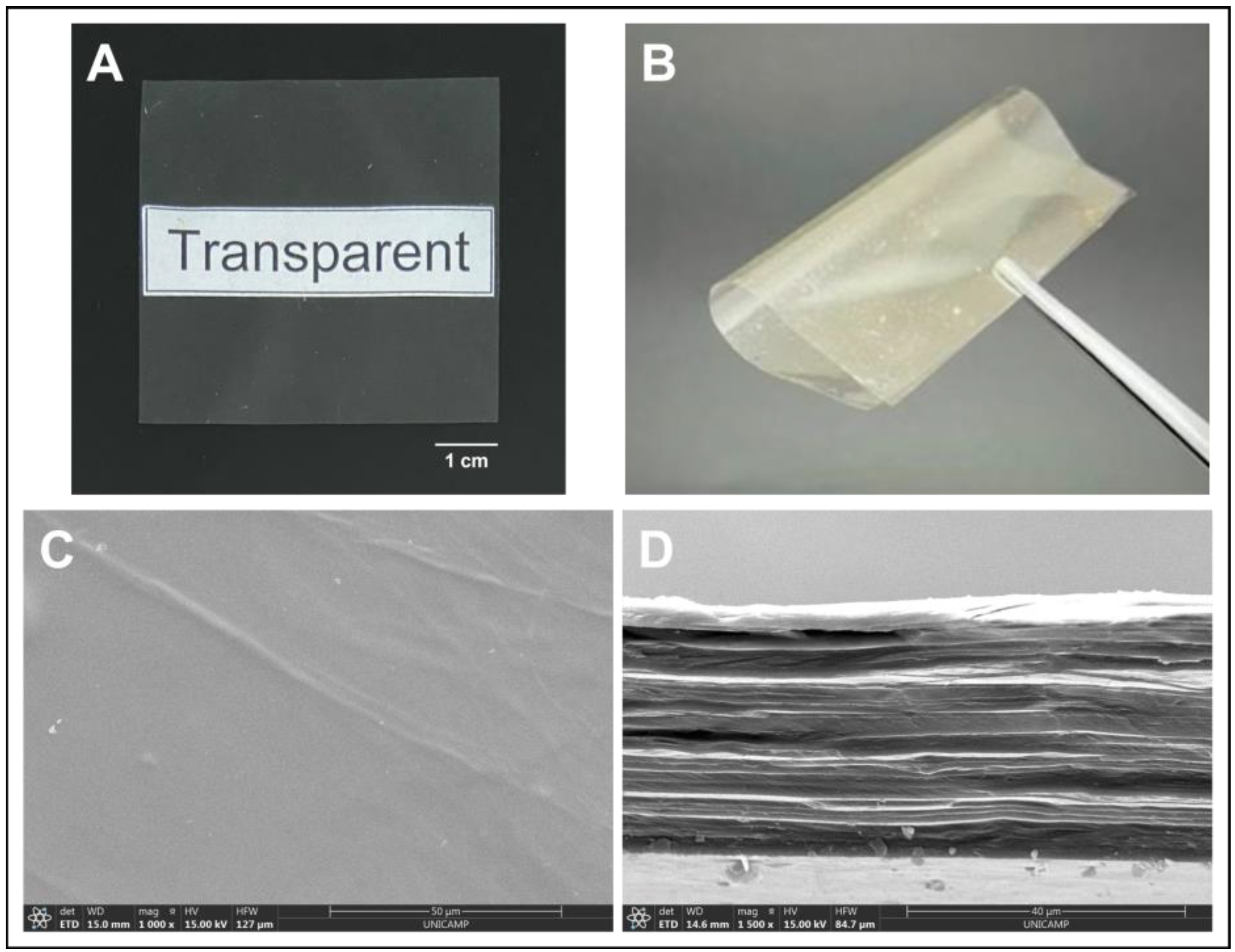 Polymers 14 04754 g001