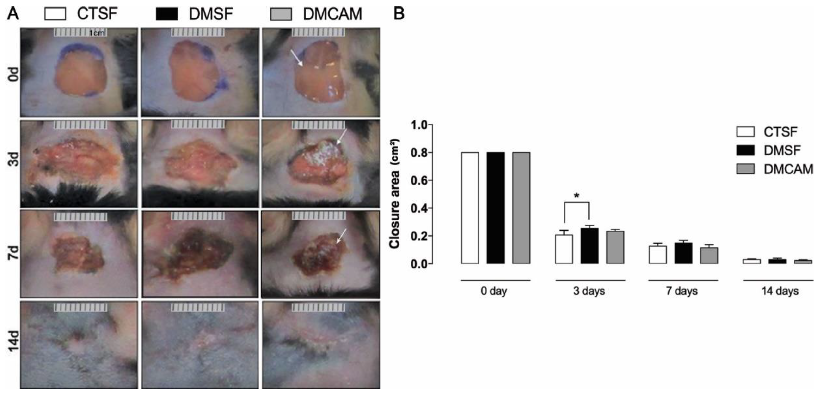 Polymers 14 04754 g002