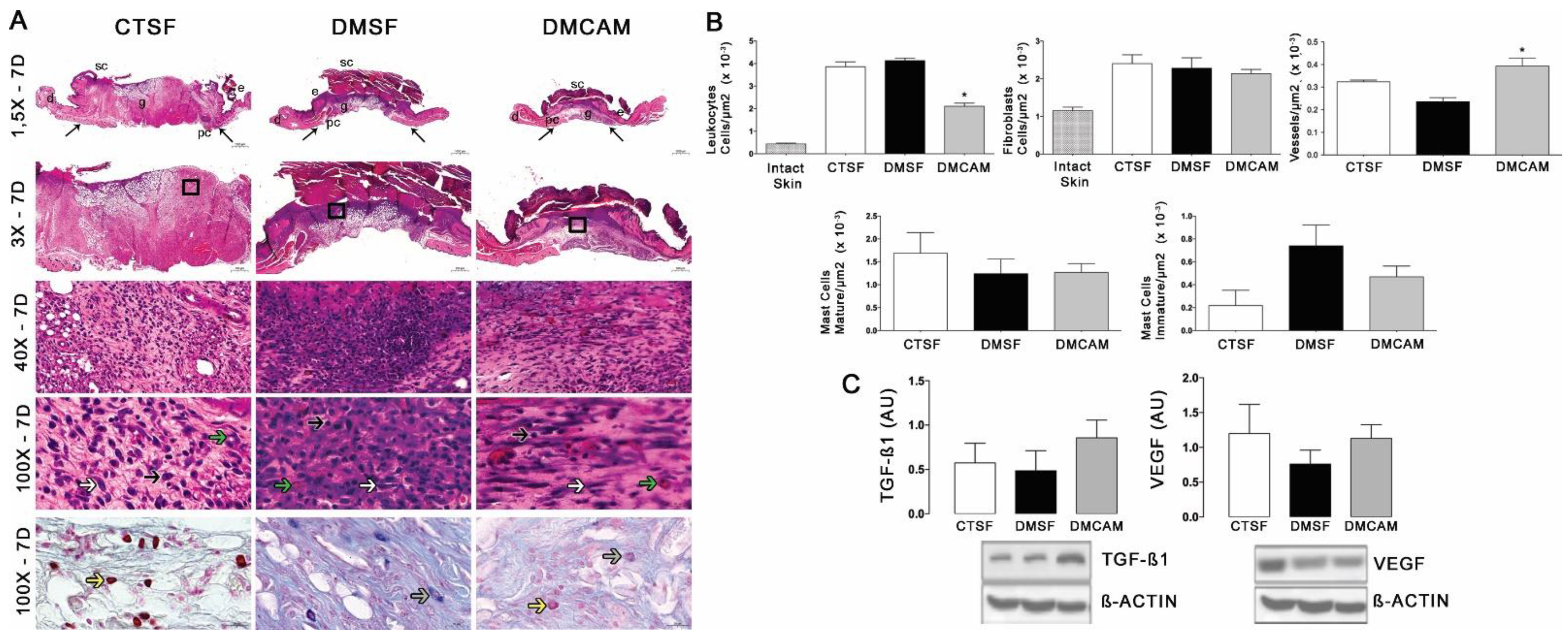 Polymers 14 04754 g004