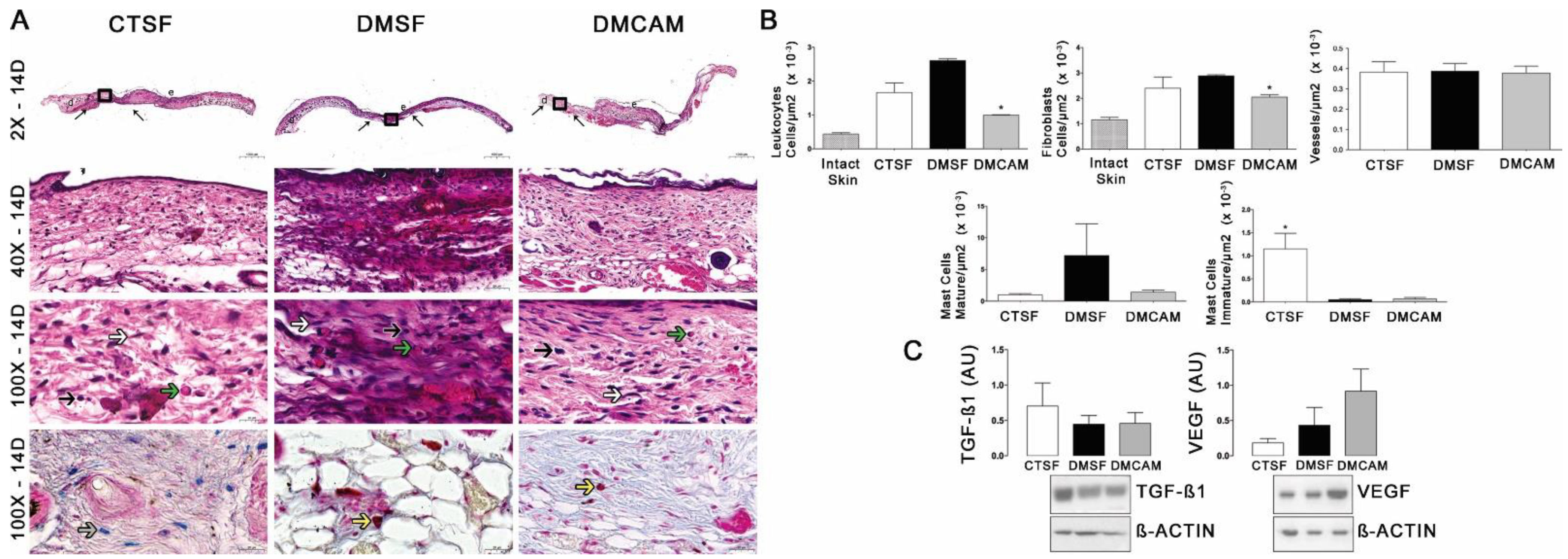 Polymers 14 04754 g005