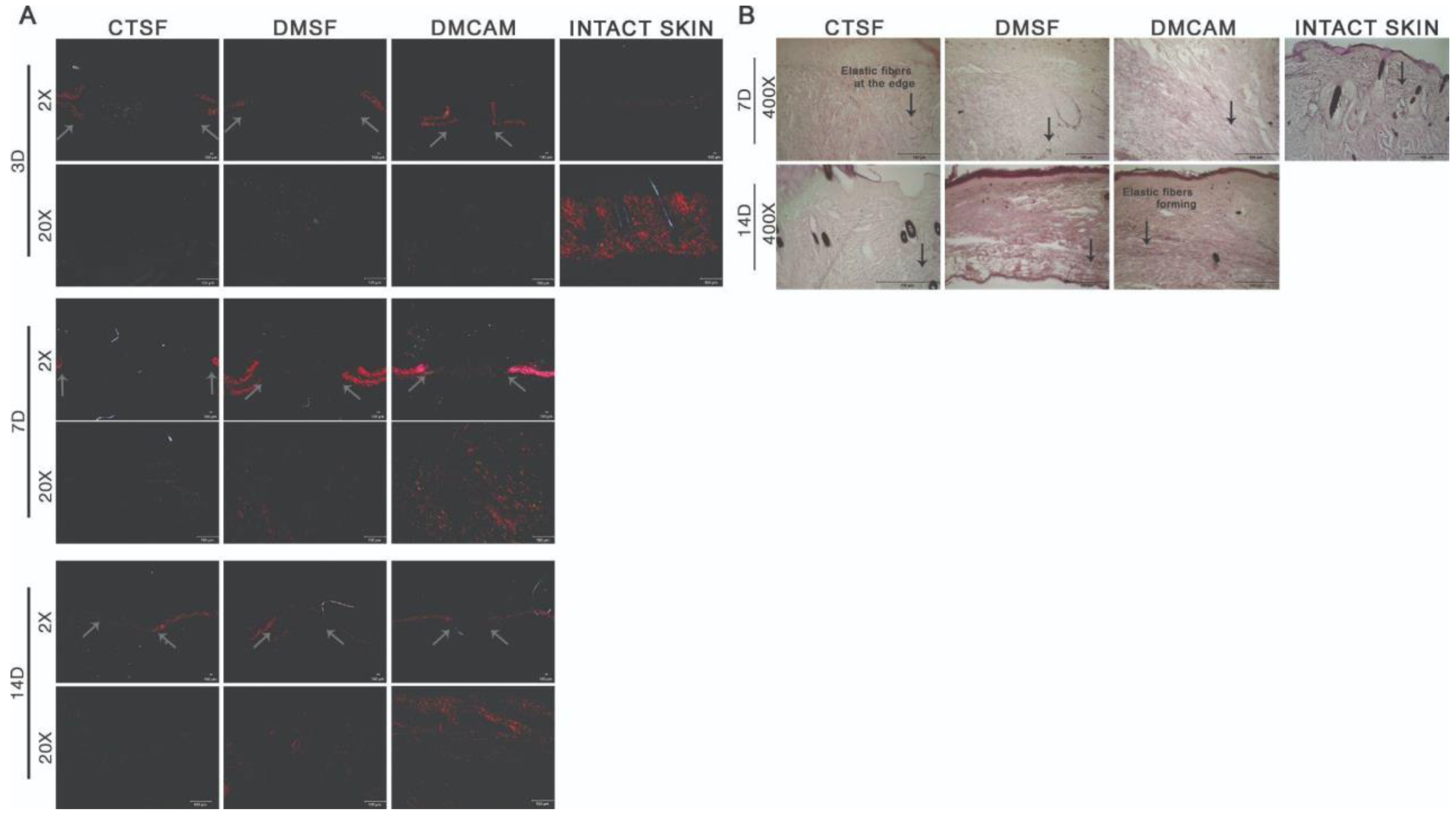 Polymers 14 04754 g006
