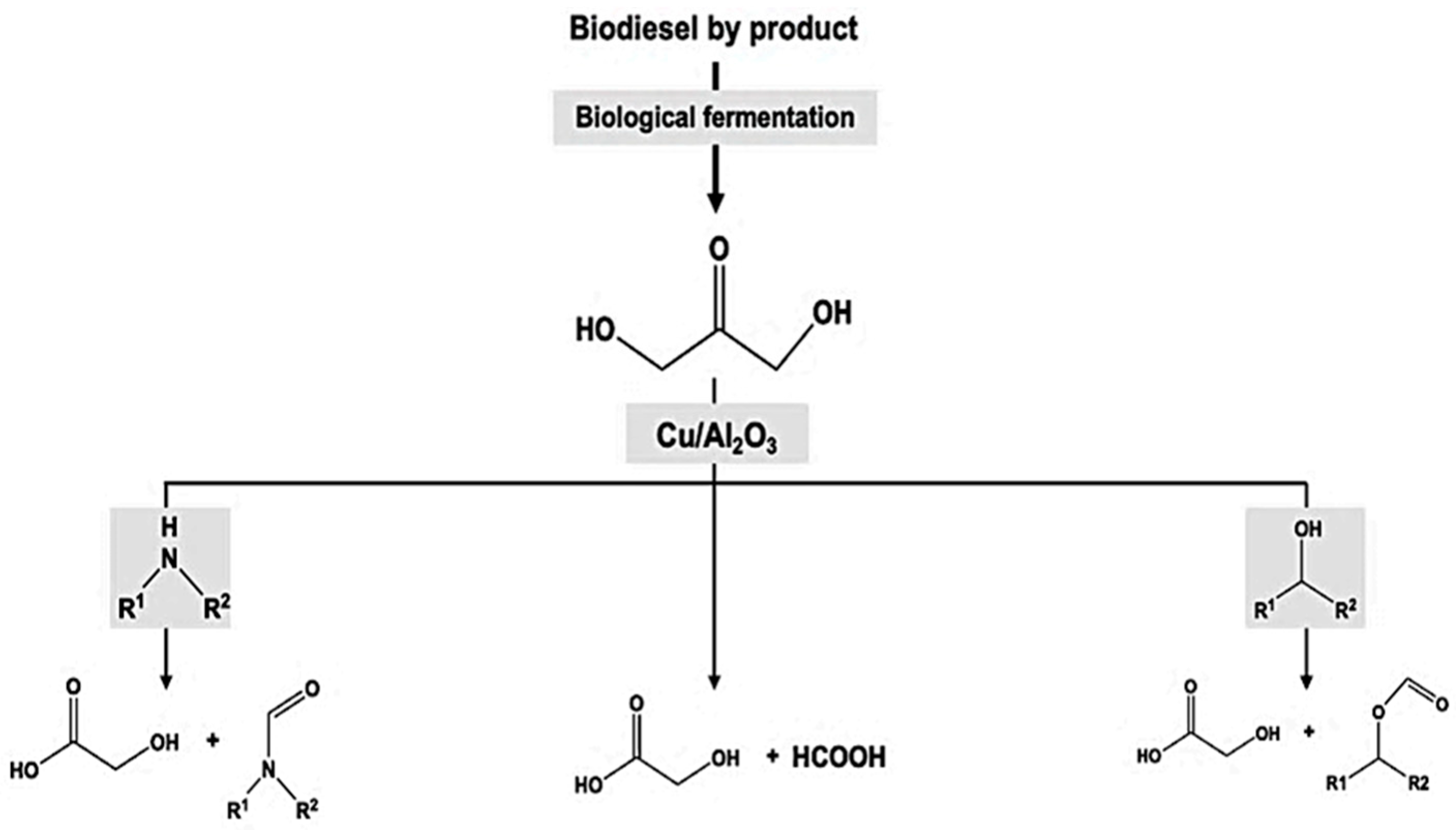 Polymers 14 04755 g004