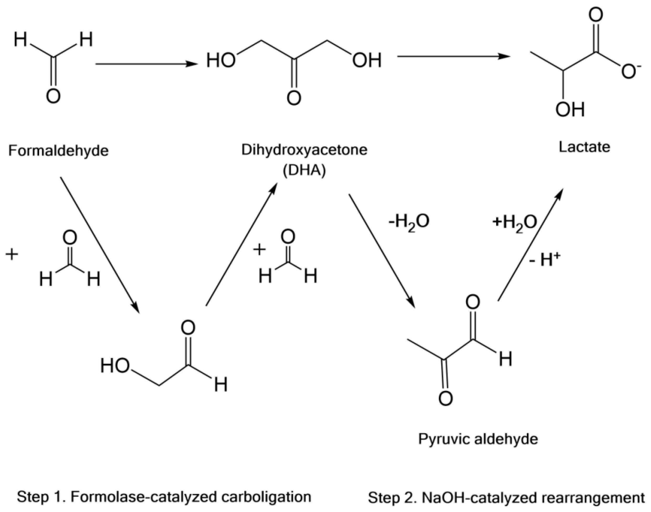 Polymers 14 04755 g006