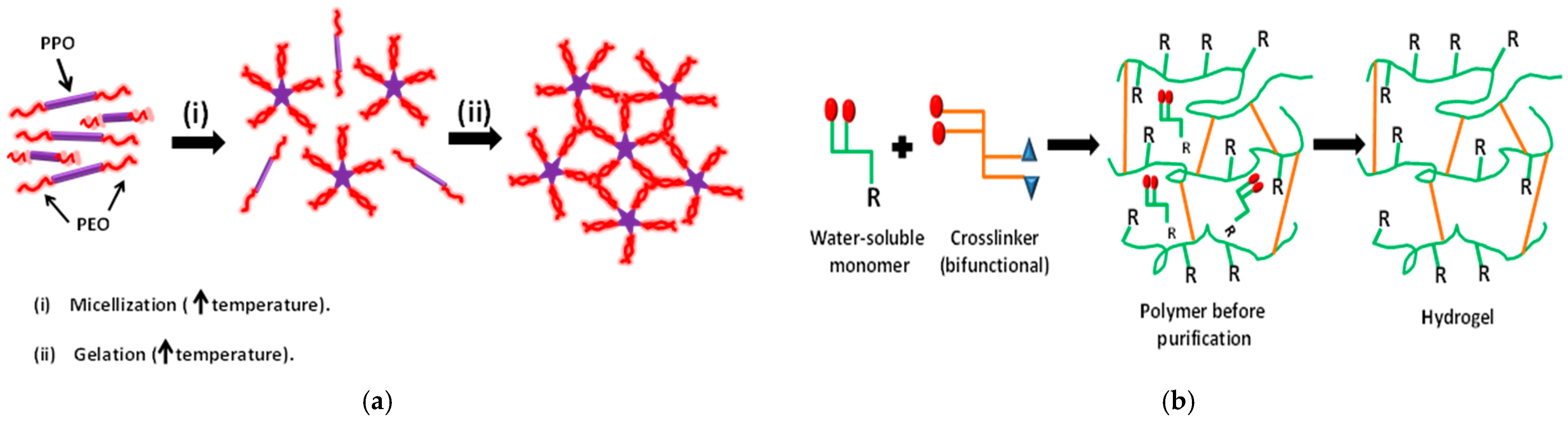Polymers 14 04755 g009