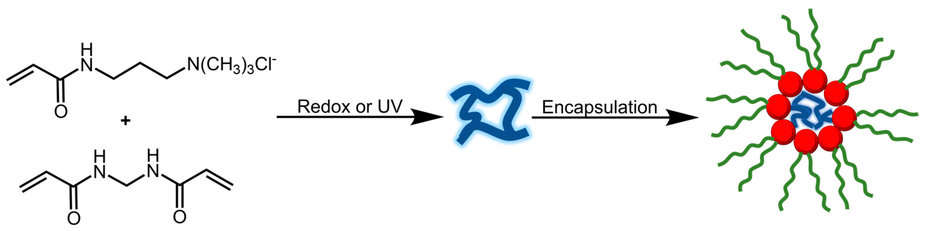 Polymers 14 04755 g010