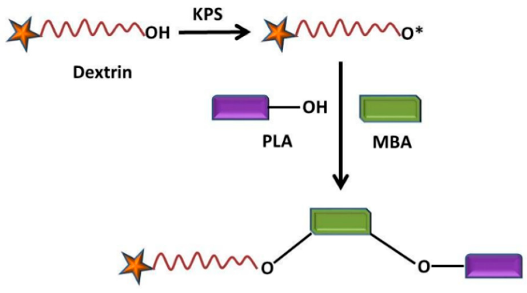 Polymers 14 04755 g012