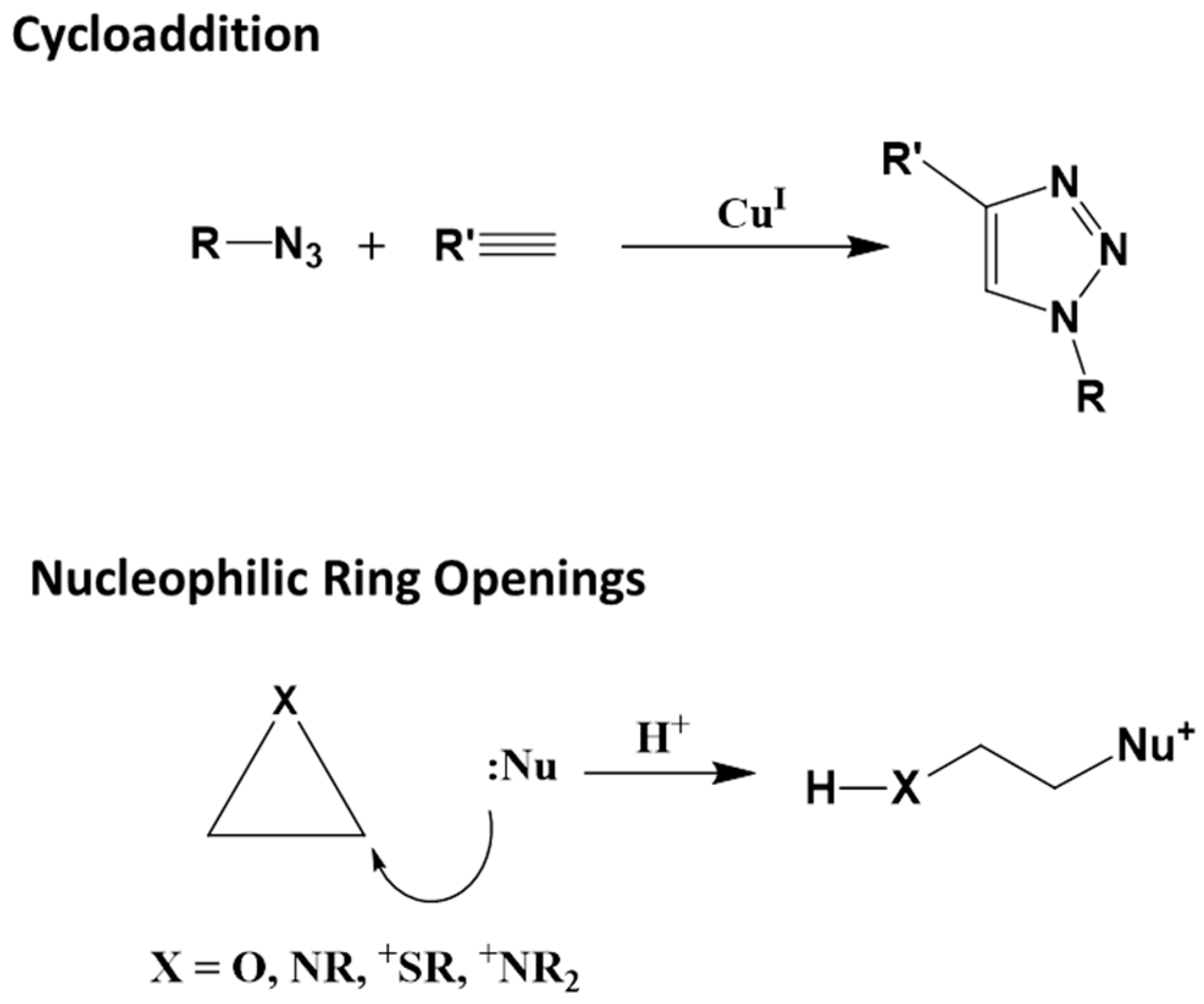Polymers 14 04755 g014
