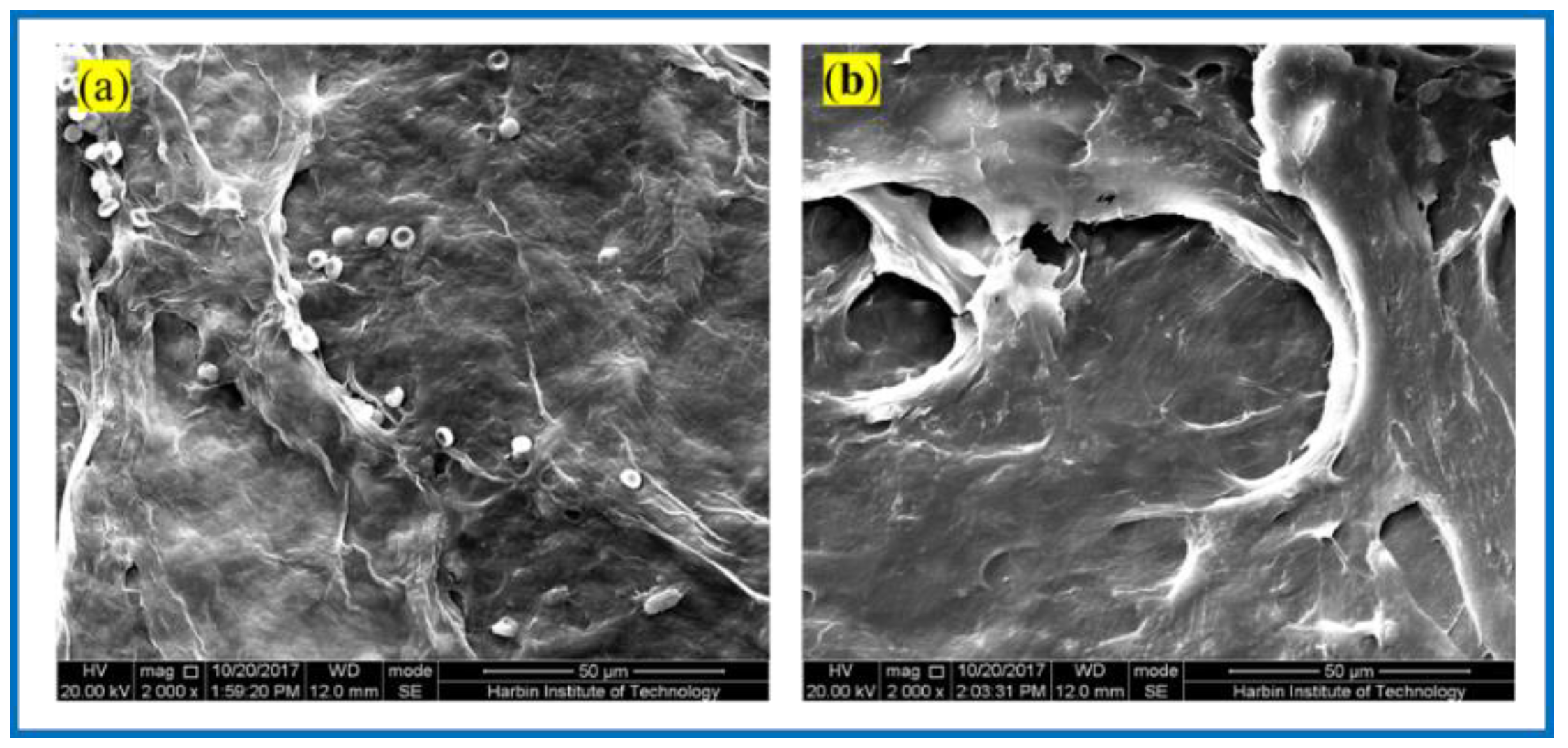 Polymers 14 04756 g008