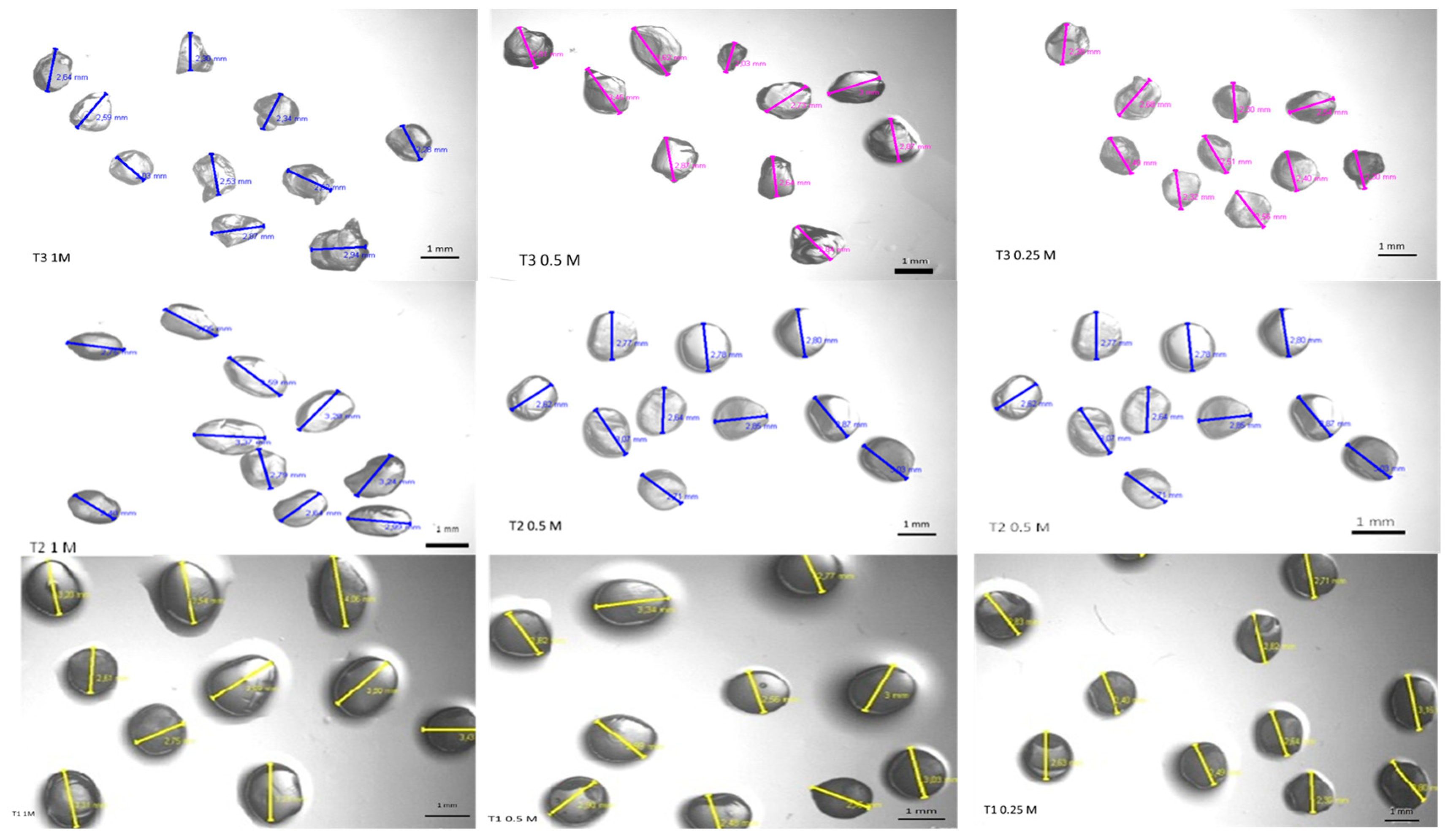 Polymers 14 04759 g001 Polymers 14 04759 g001