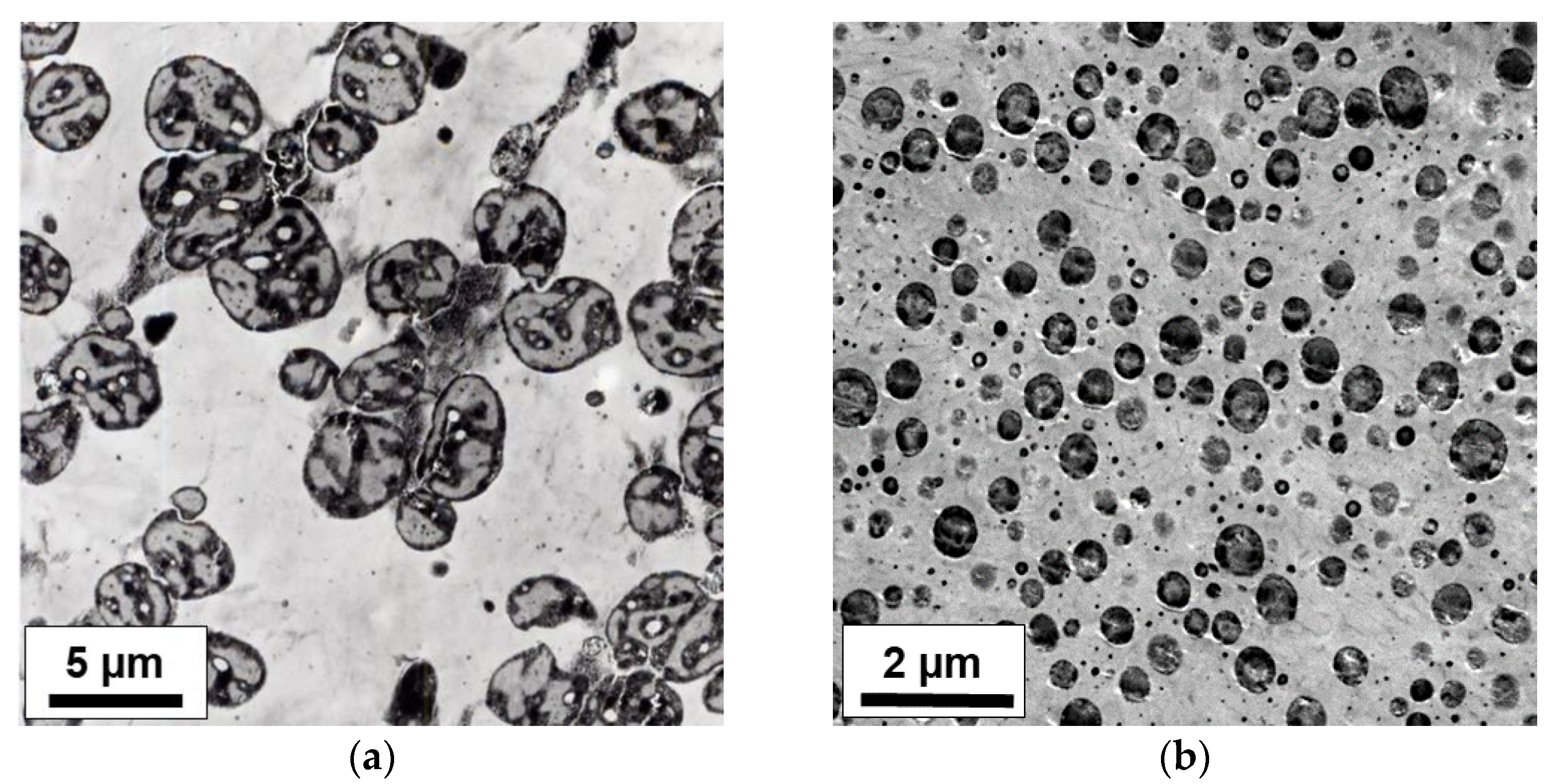 Polymers 14 04763 g012 Polymers 14 04763 g012