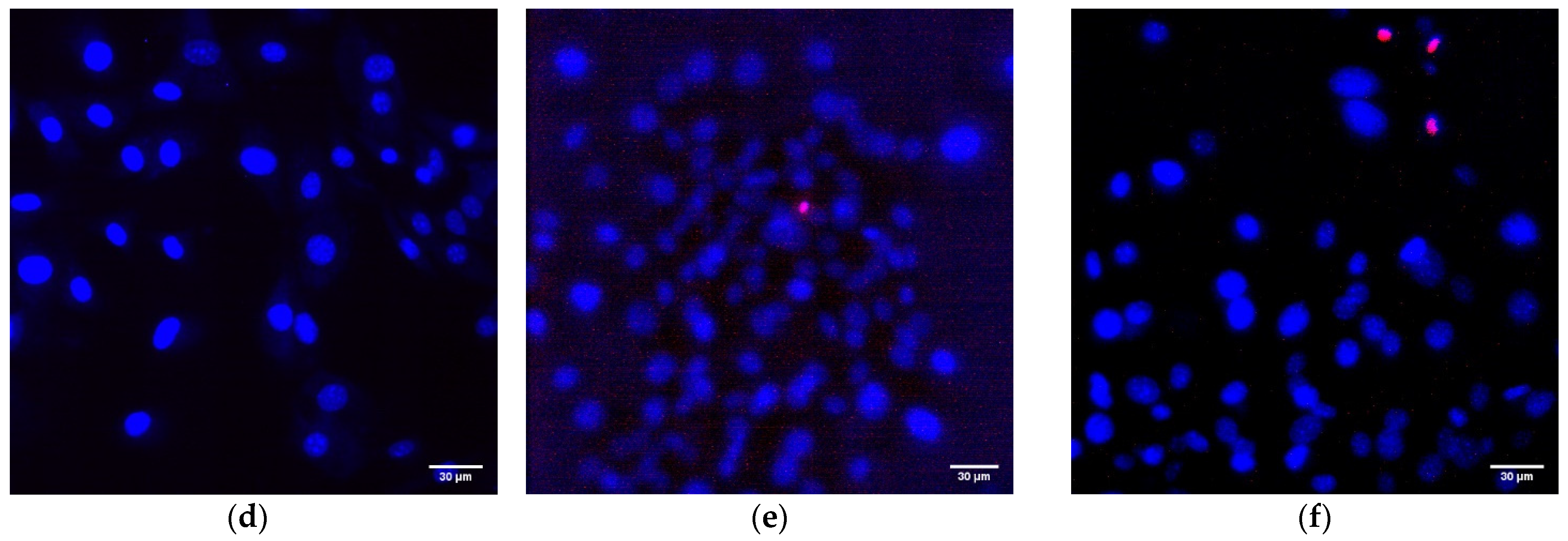 Polymers 14 04764 g009b Polymers 14 04764 g009b