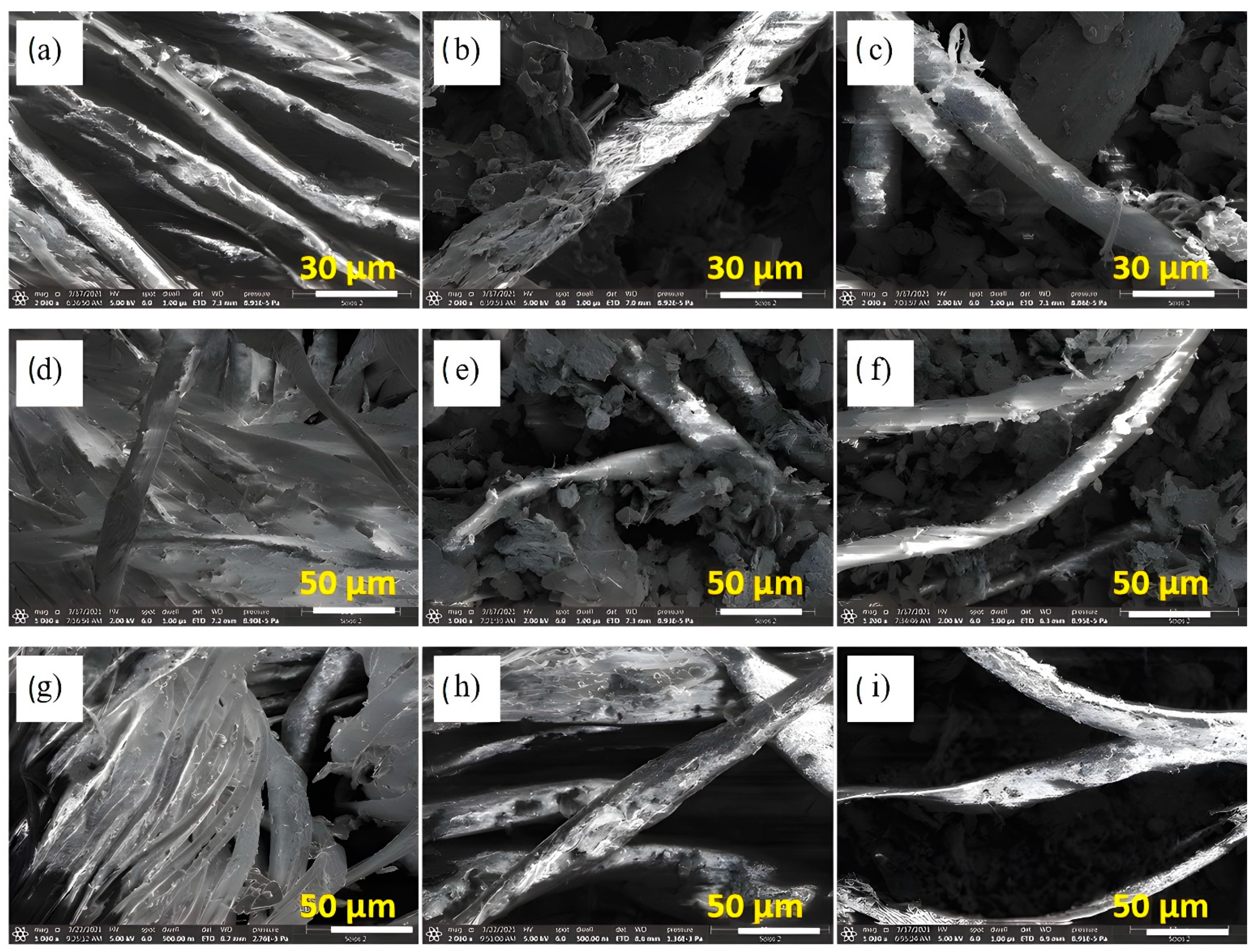 Polymers 14 04767 g003 Polymers 14 04767 g003