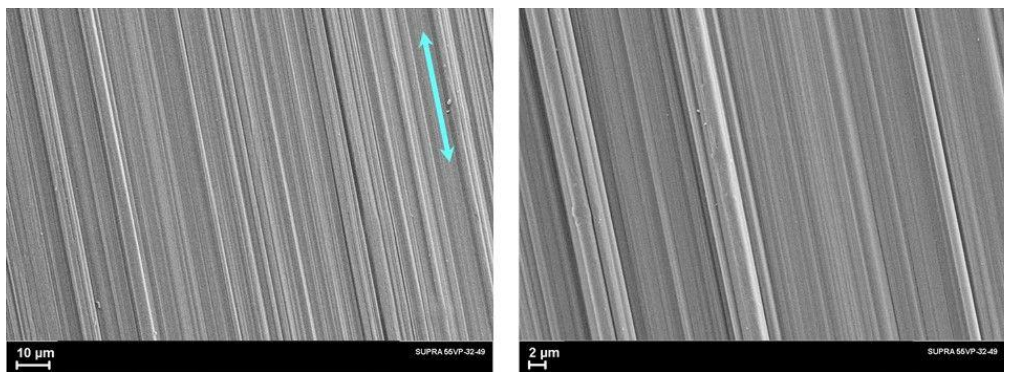 Polymers 14 04771 g008