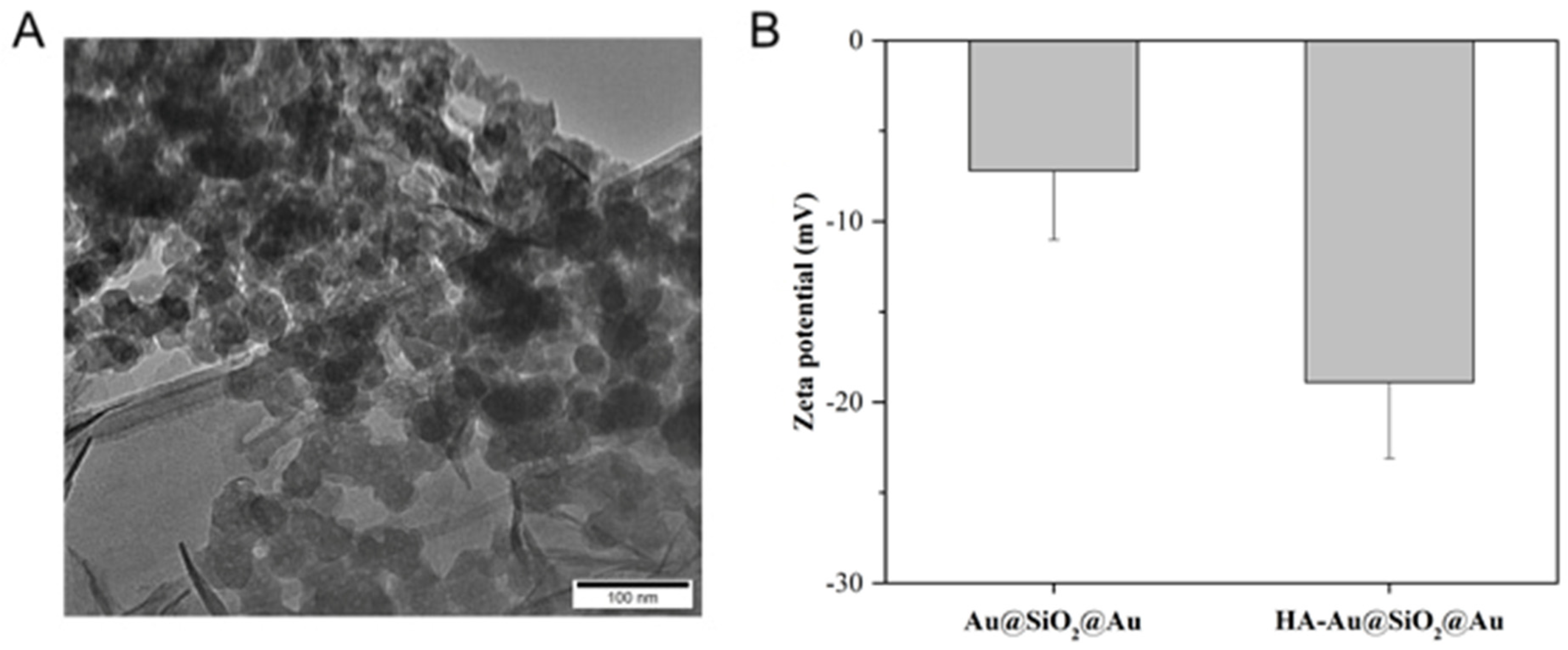 Polymers 14 04772 g001