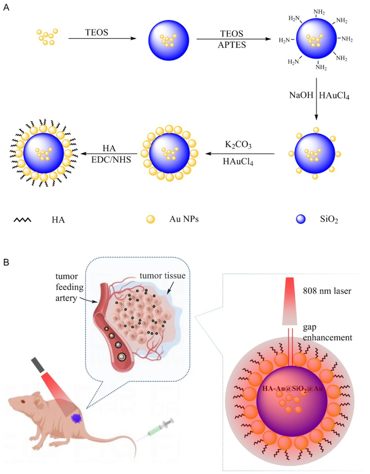 Polymers 14 04772 sch001