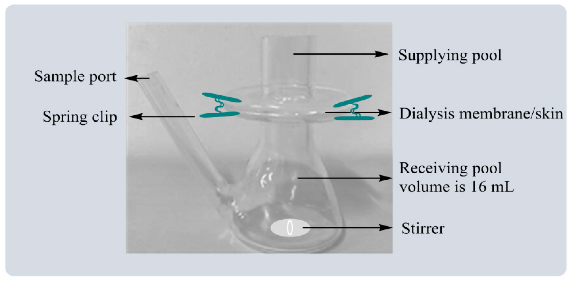 Polymers 14 04778 g001