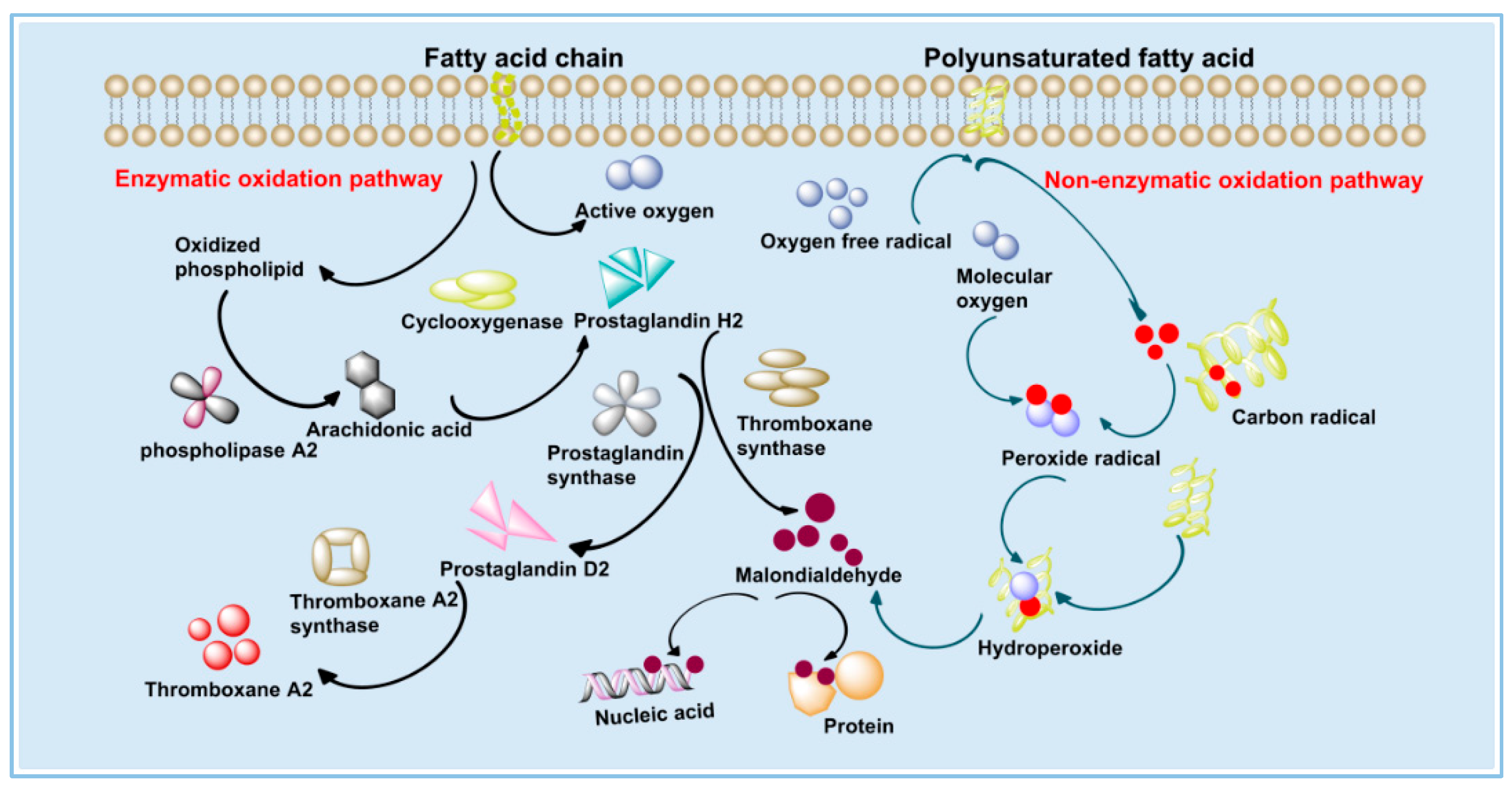 Polymers 14 04778 g007