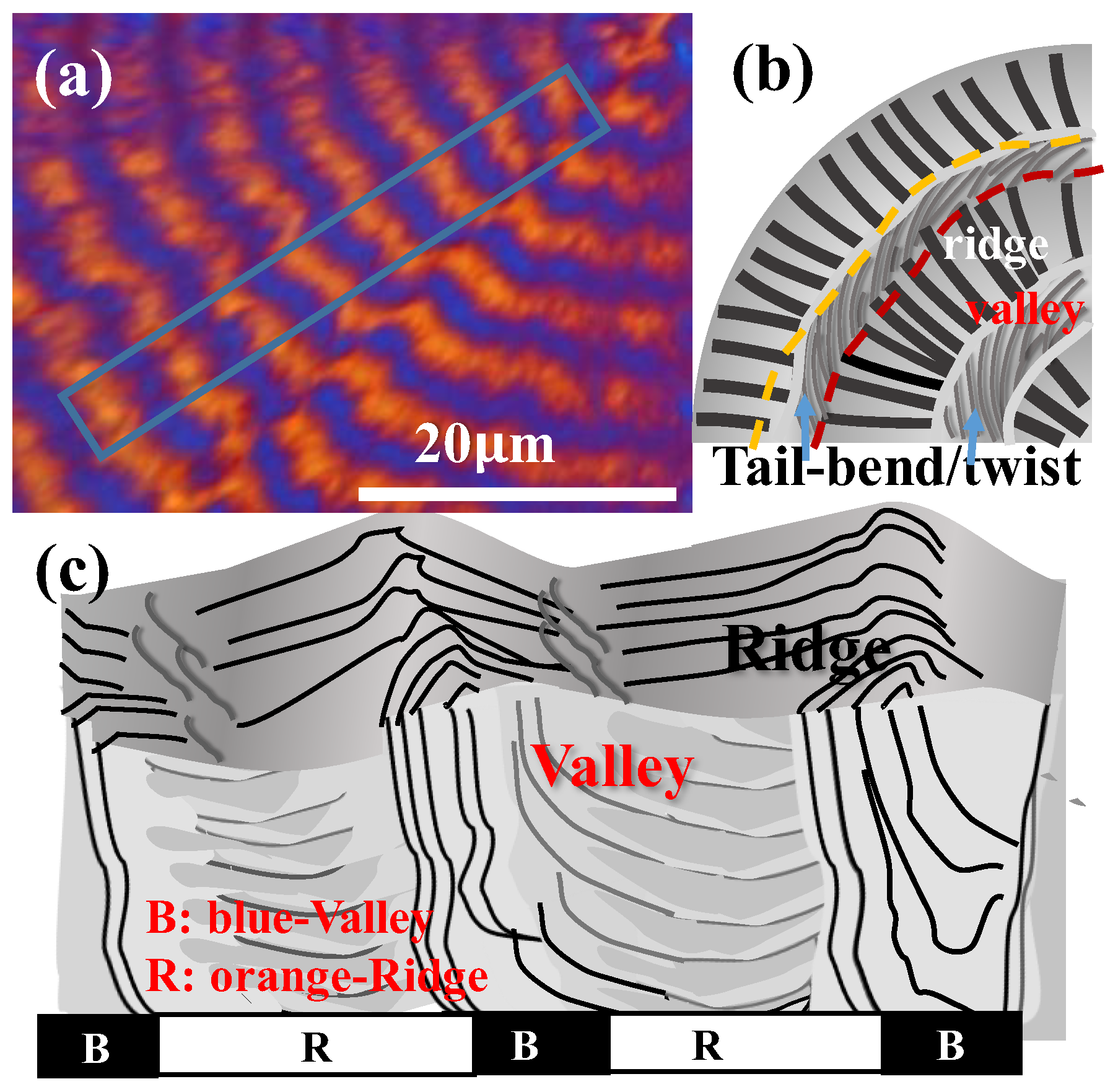 Polymers 14 04781 g010