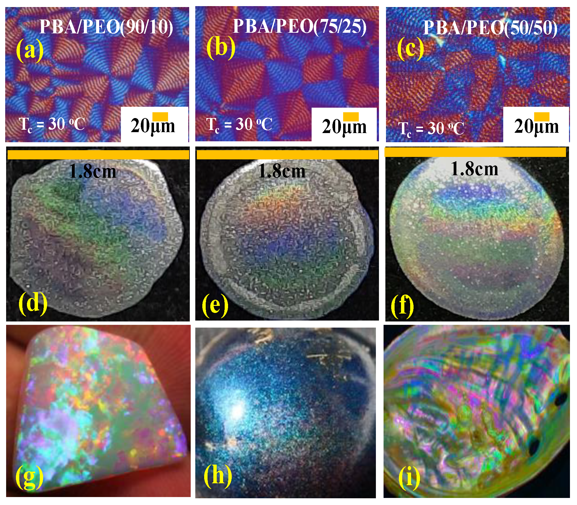 Polymers 14 04781 g012