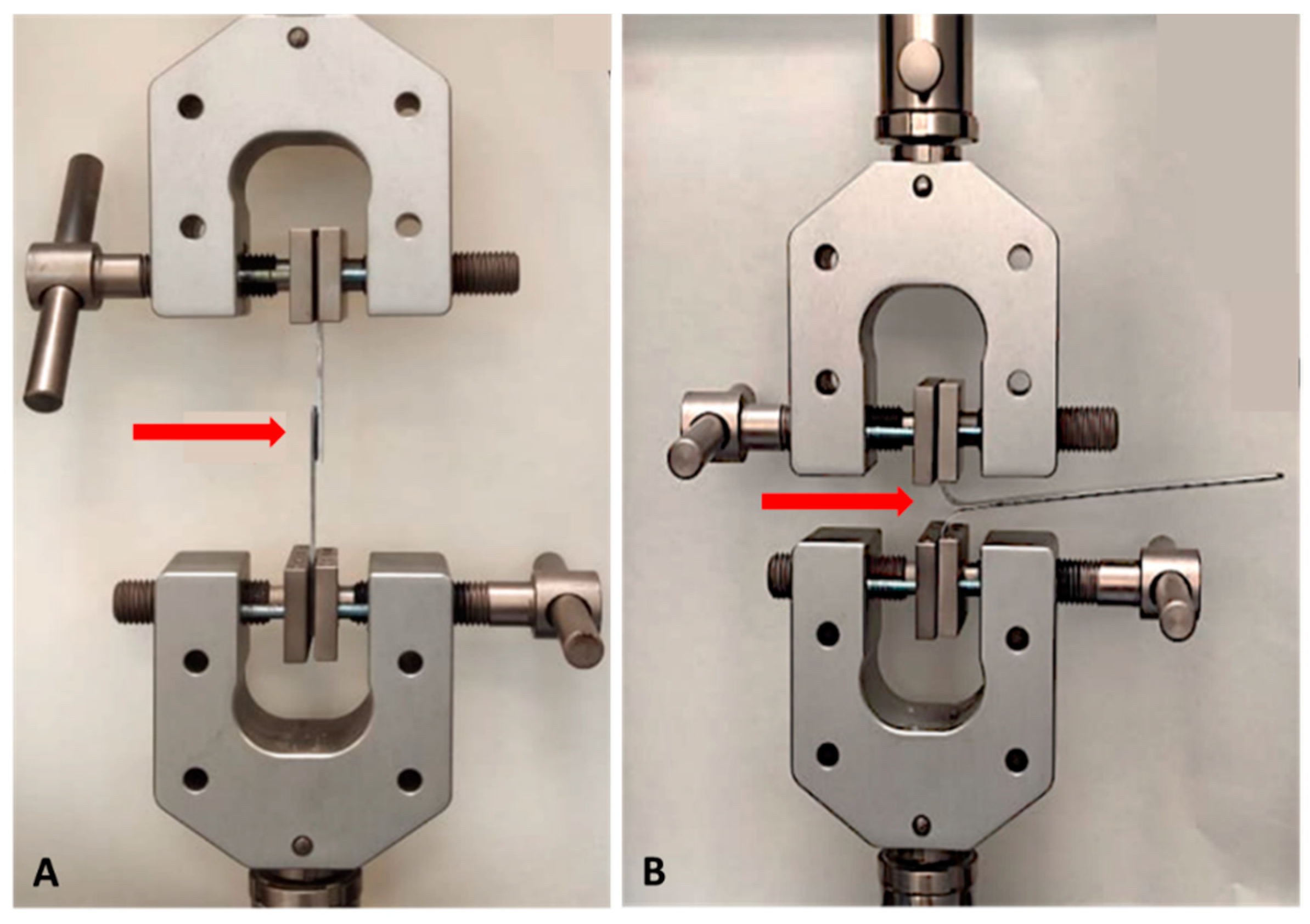 Polymers 14 04783 g002