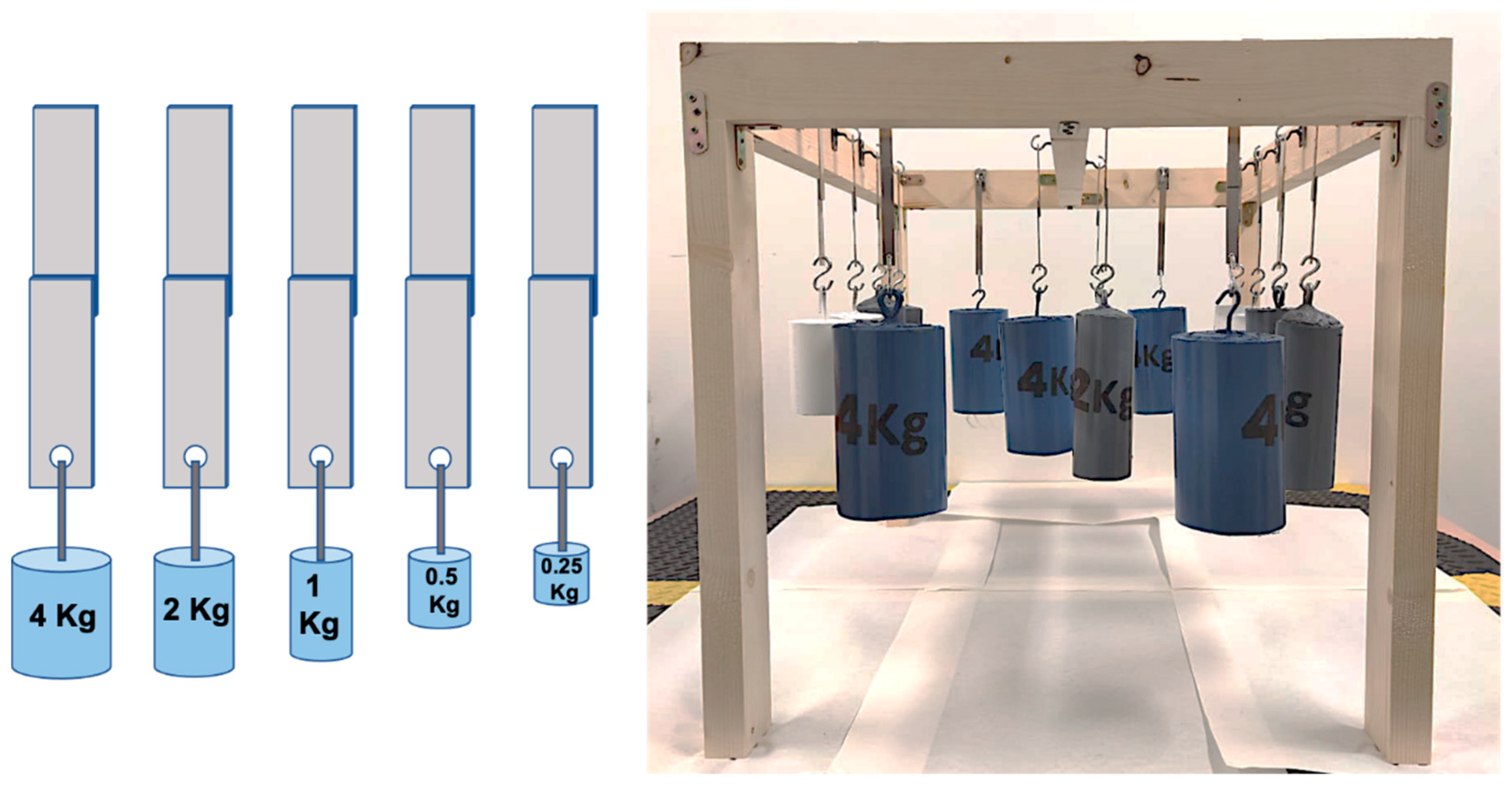 Polymers 14 04783 g003