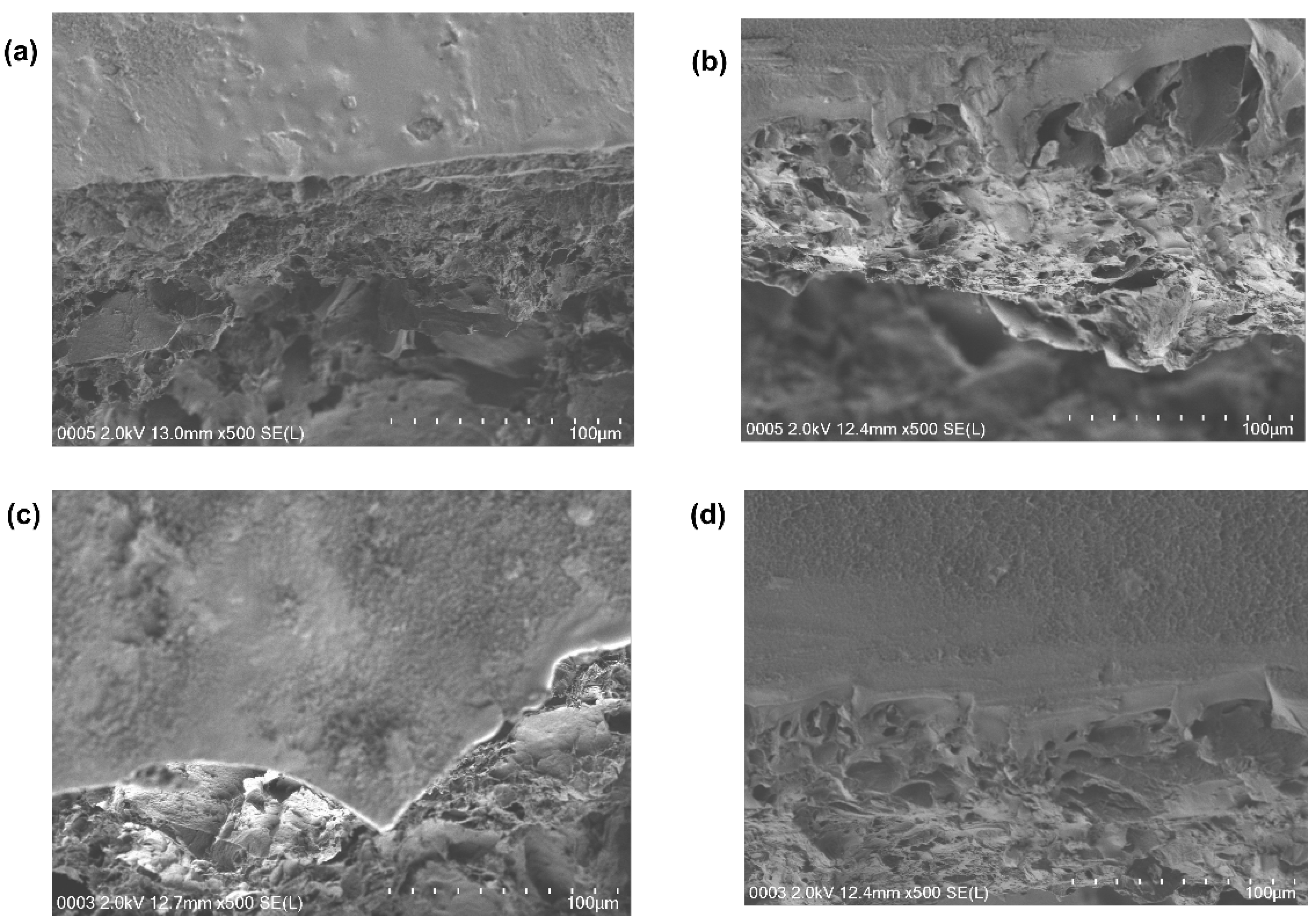 Polymers 14 04784 g008 550