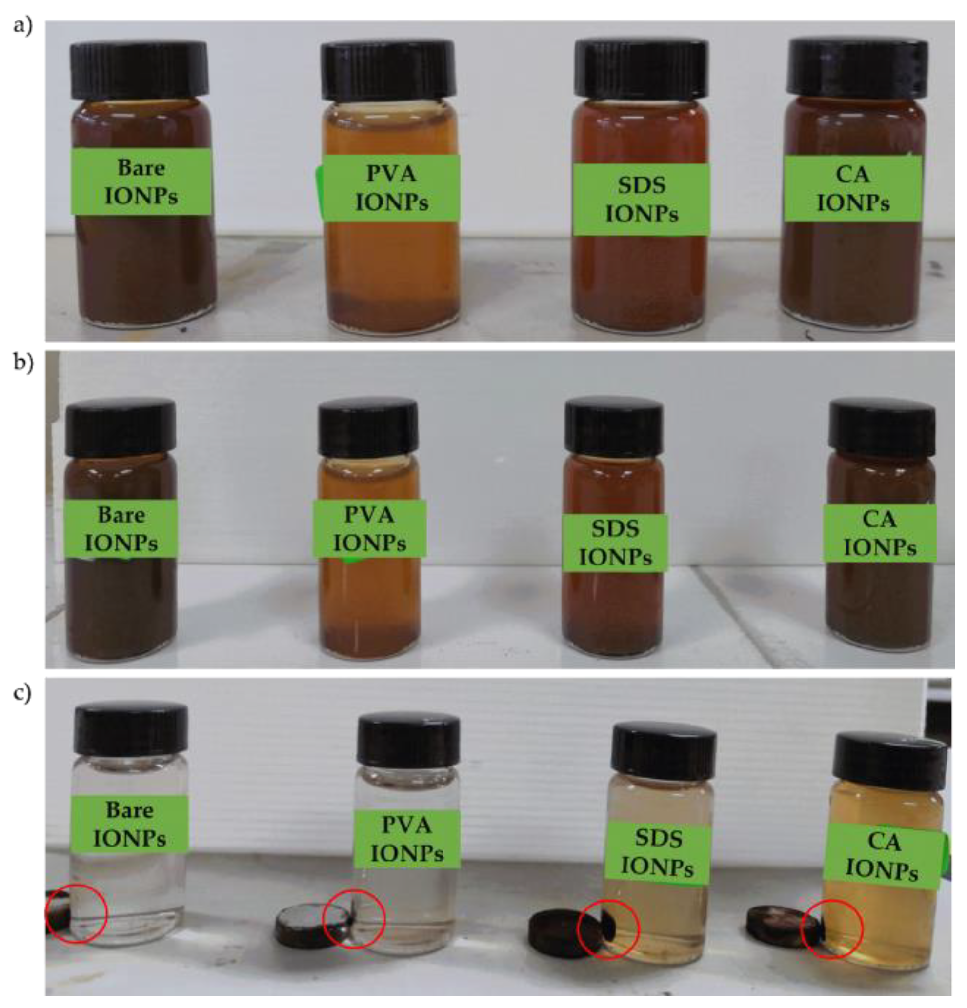 Polymers 14 04787 g005