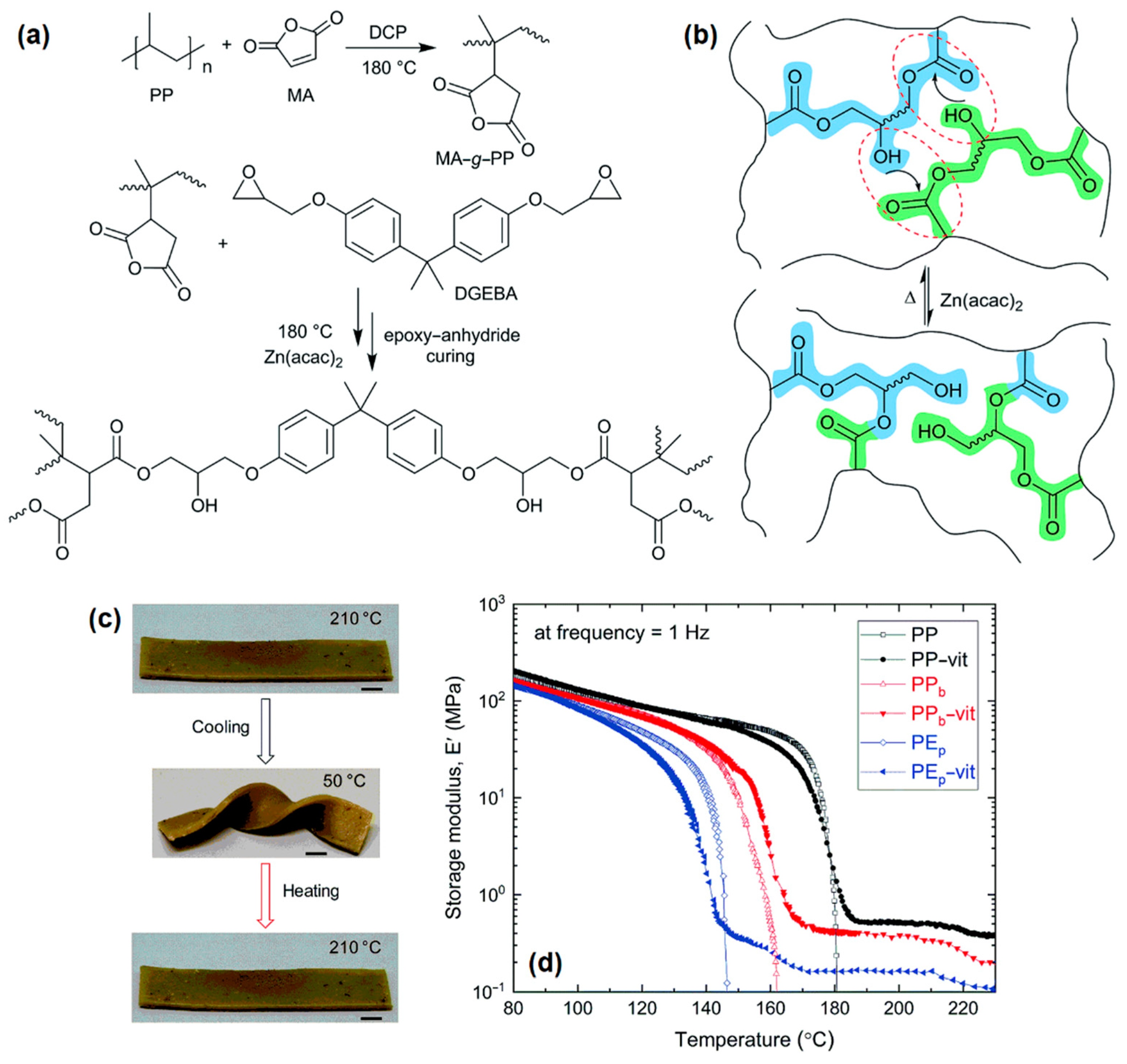 Polymers 14 04788 g002