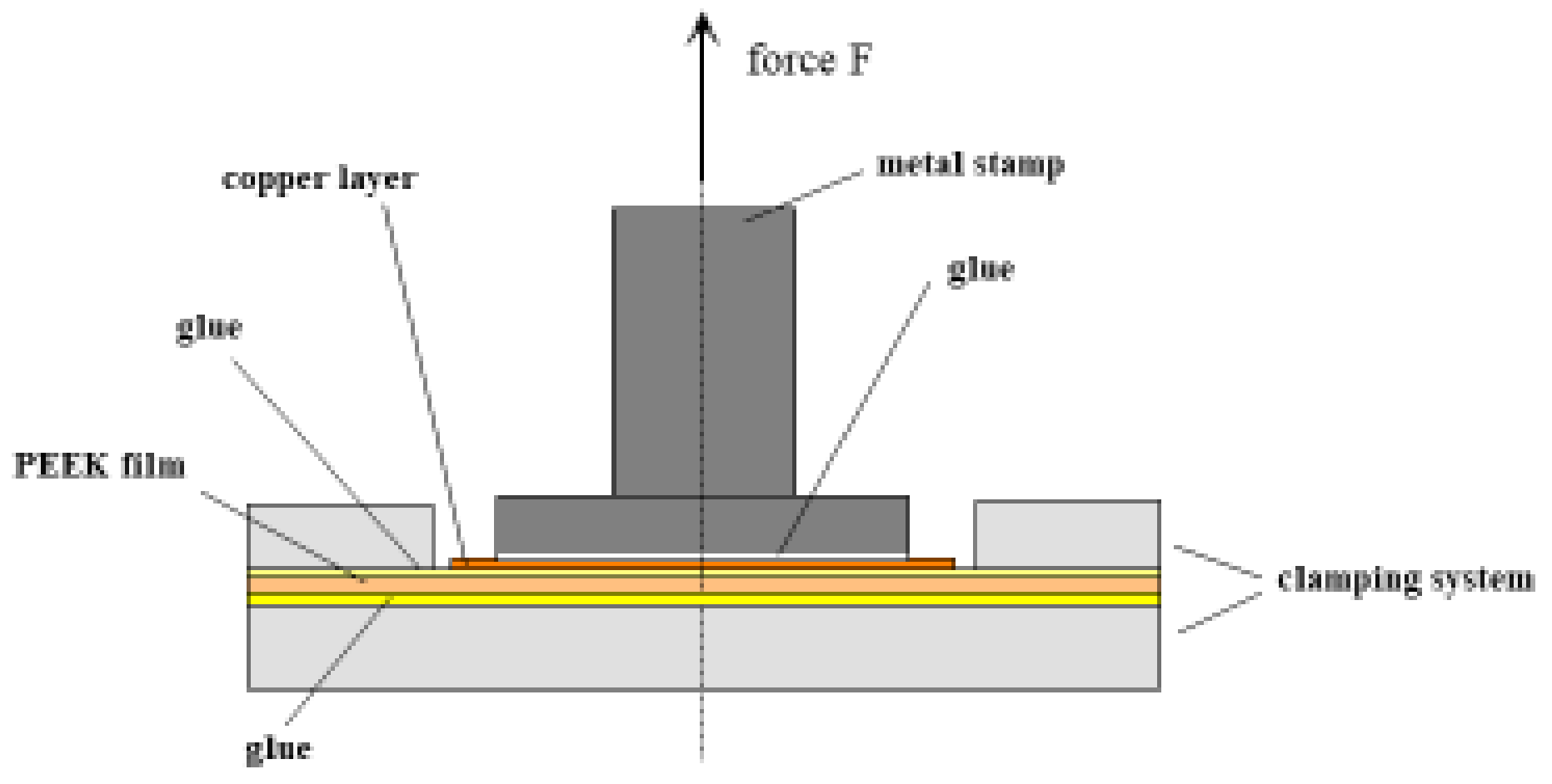 Polymers 14 04797 g003
