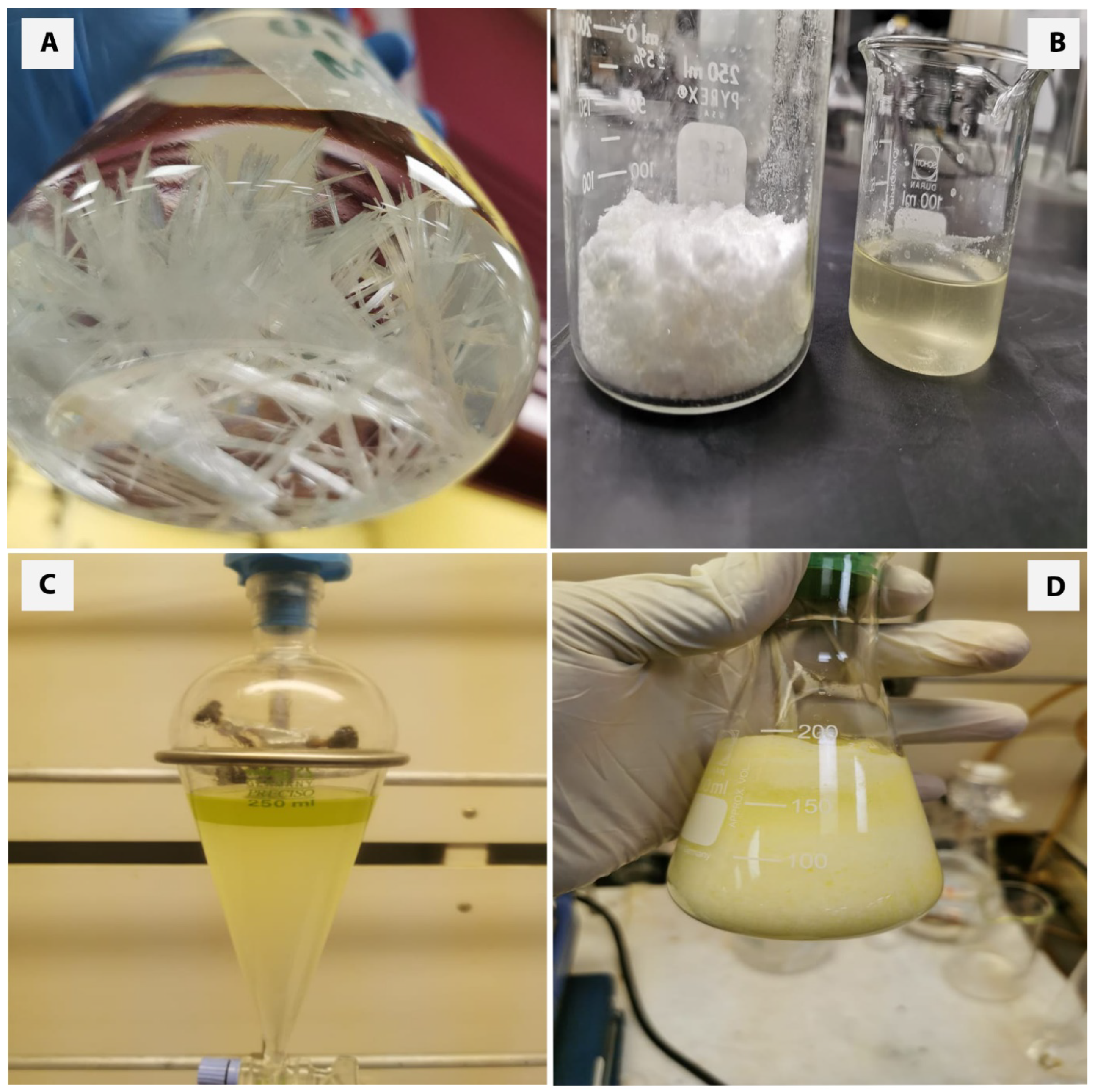 Polymers 14 04799 g003