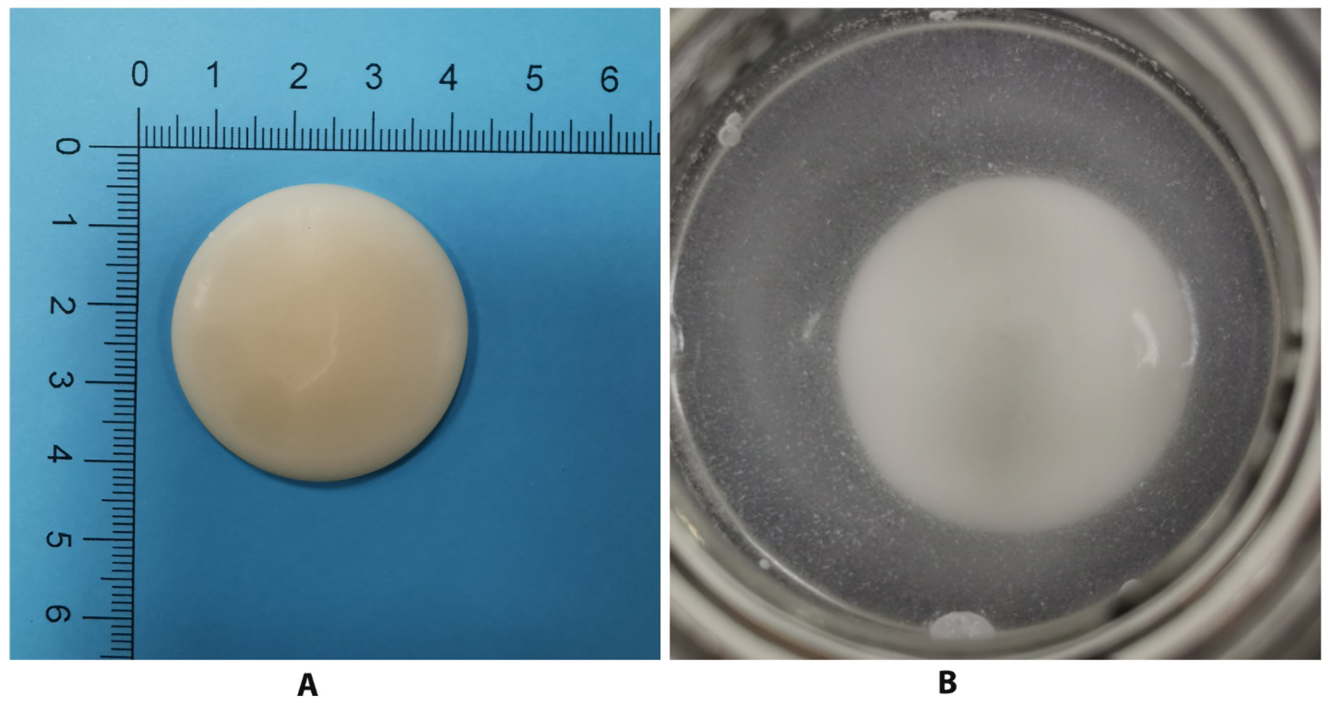 Polymers 14 04799 g005