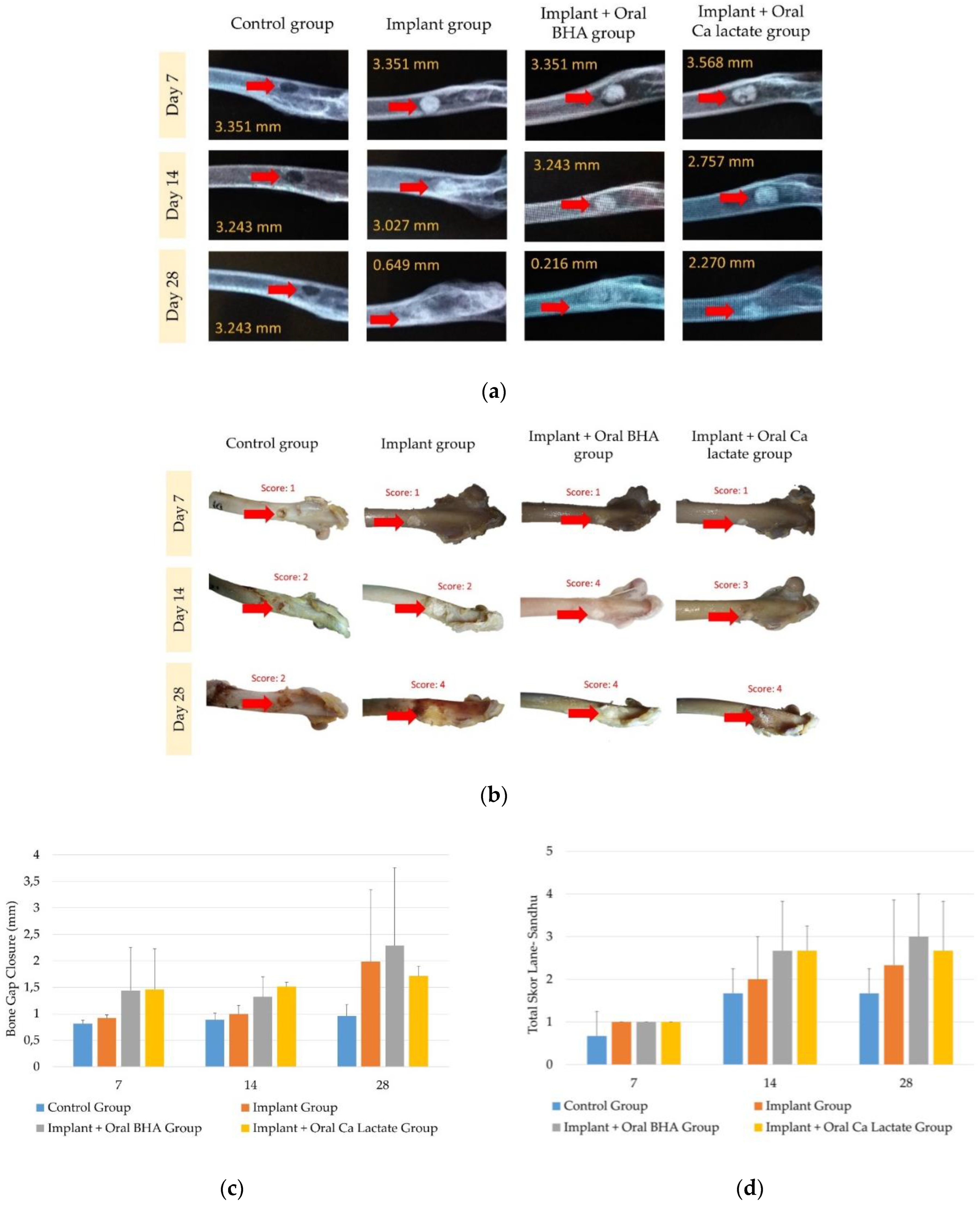 Polymers 14 04812 g002 Polymers 14 04812 g002