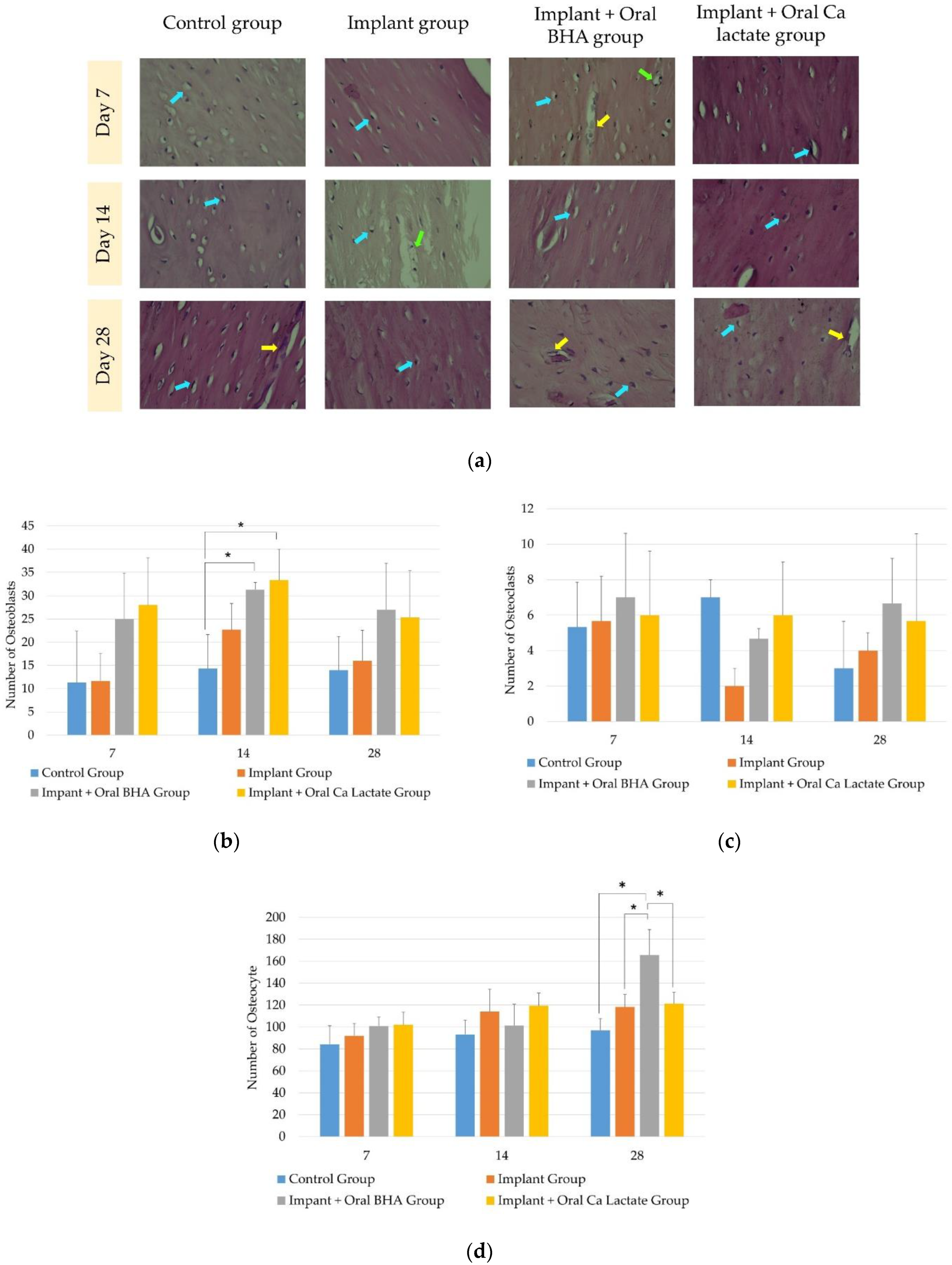 Polymers 14 04812 g003 Polymers 14 04812 g003