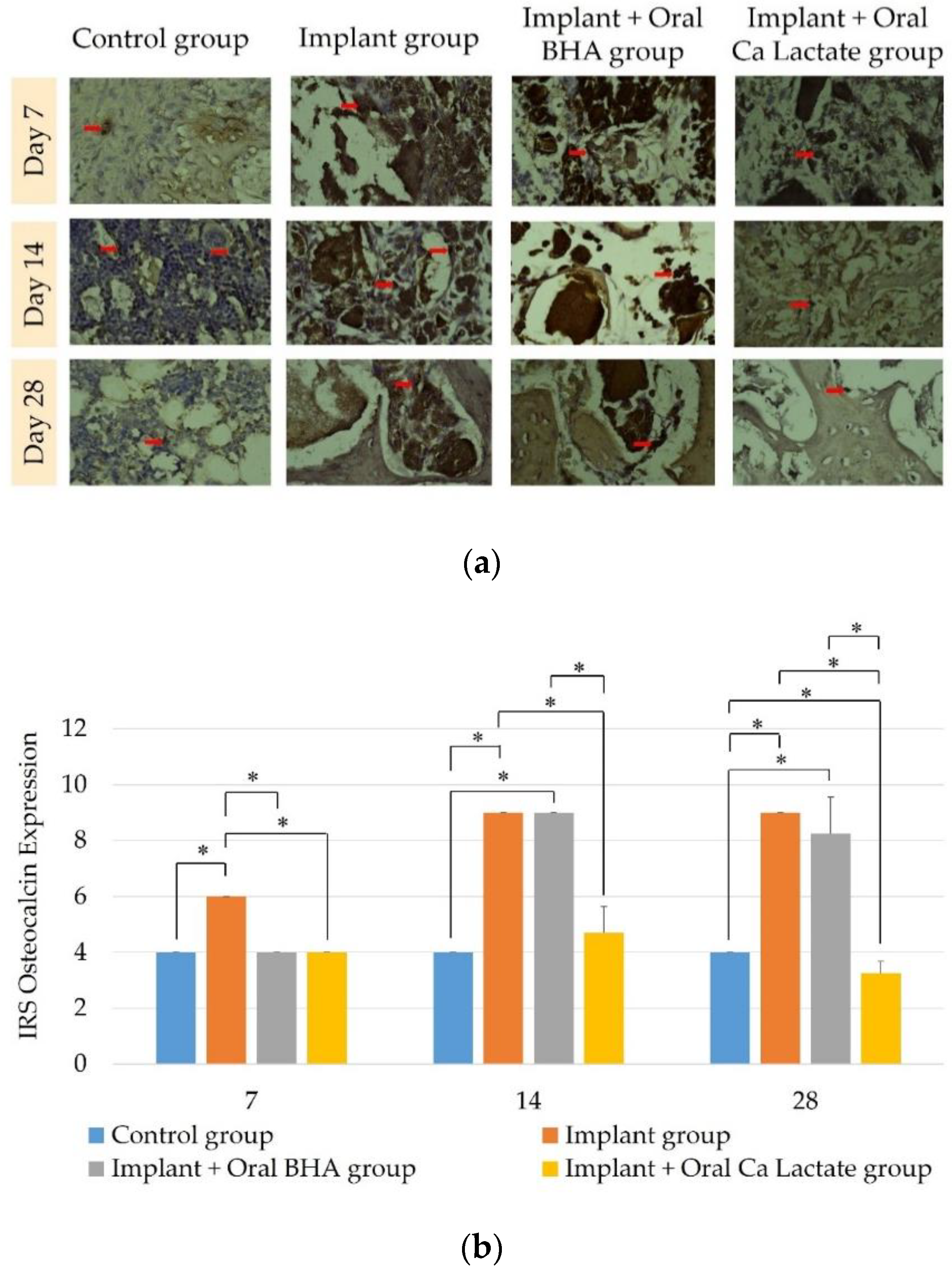 Polymers 14 04812 g005 Polymers 14 04812 g005