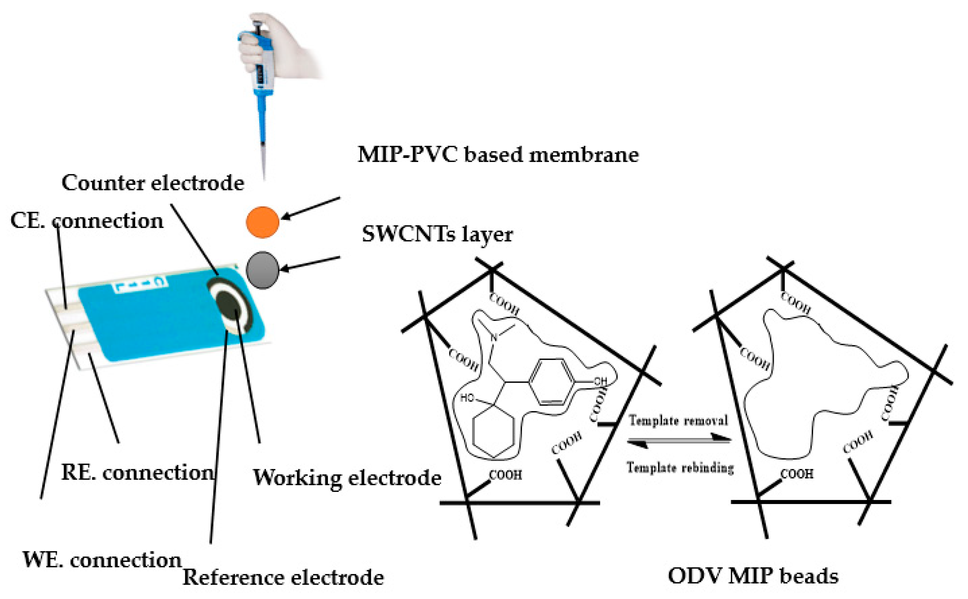 Polymers 14 04814 g001