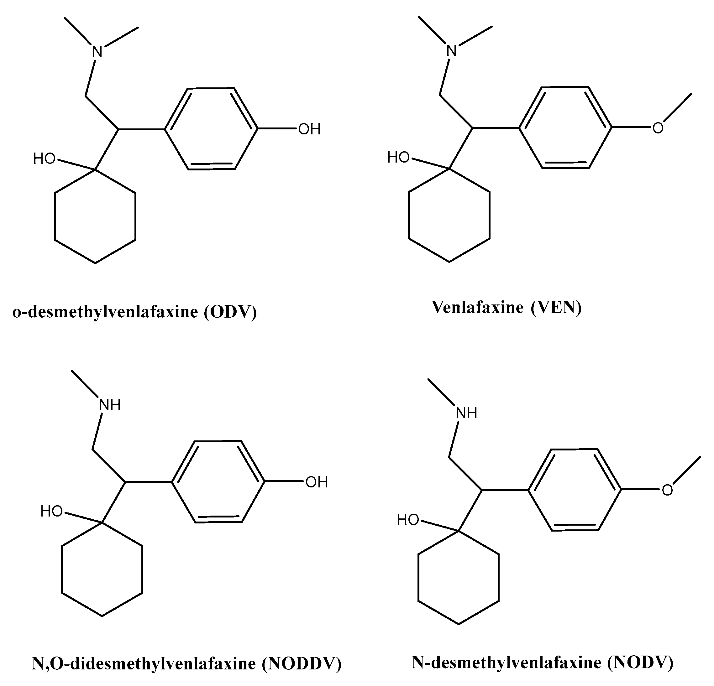 Polymers 14 04814 g006