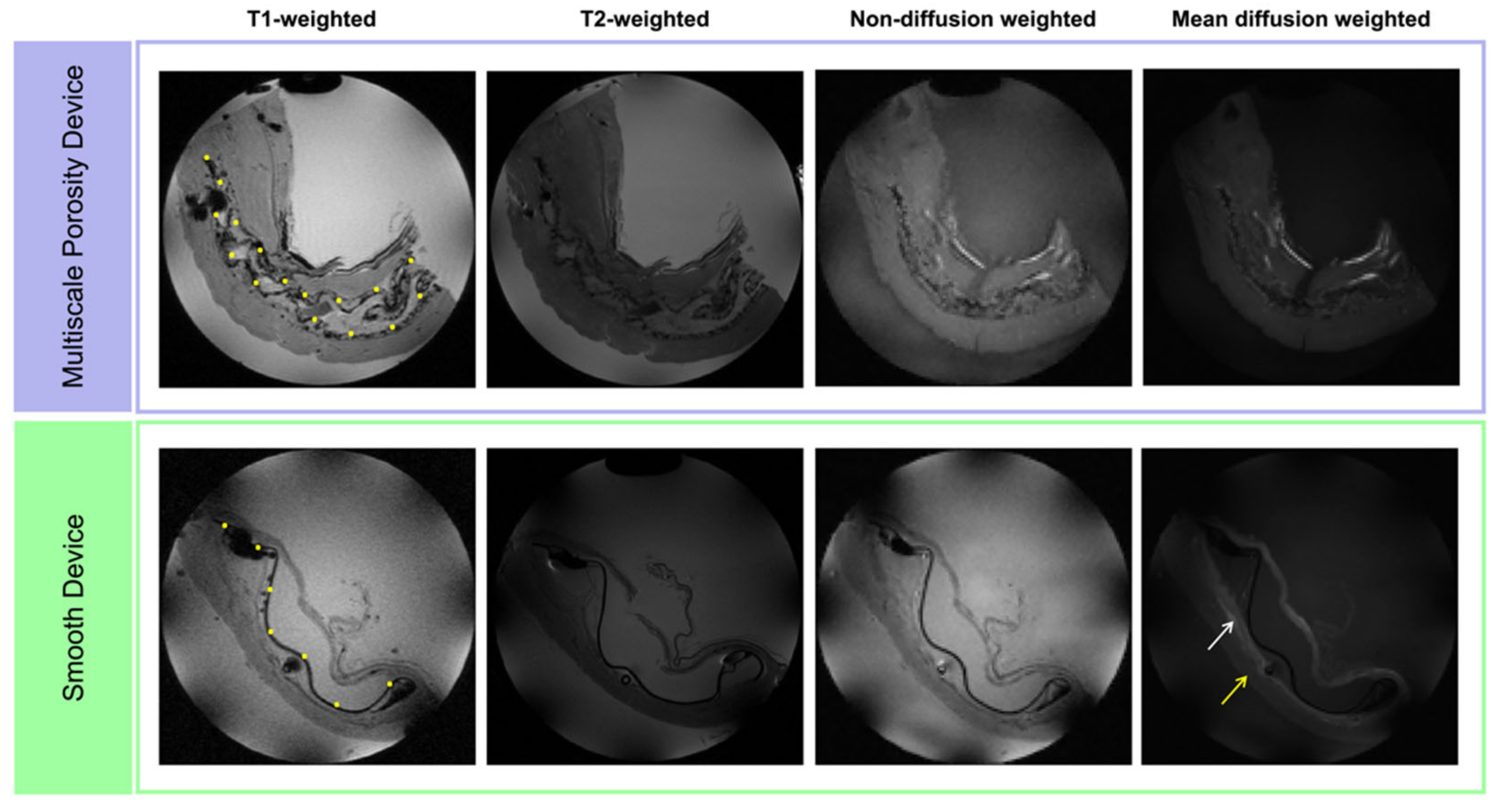 Polymers 14 04819 g002