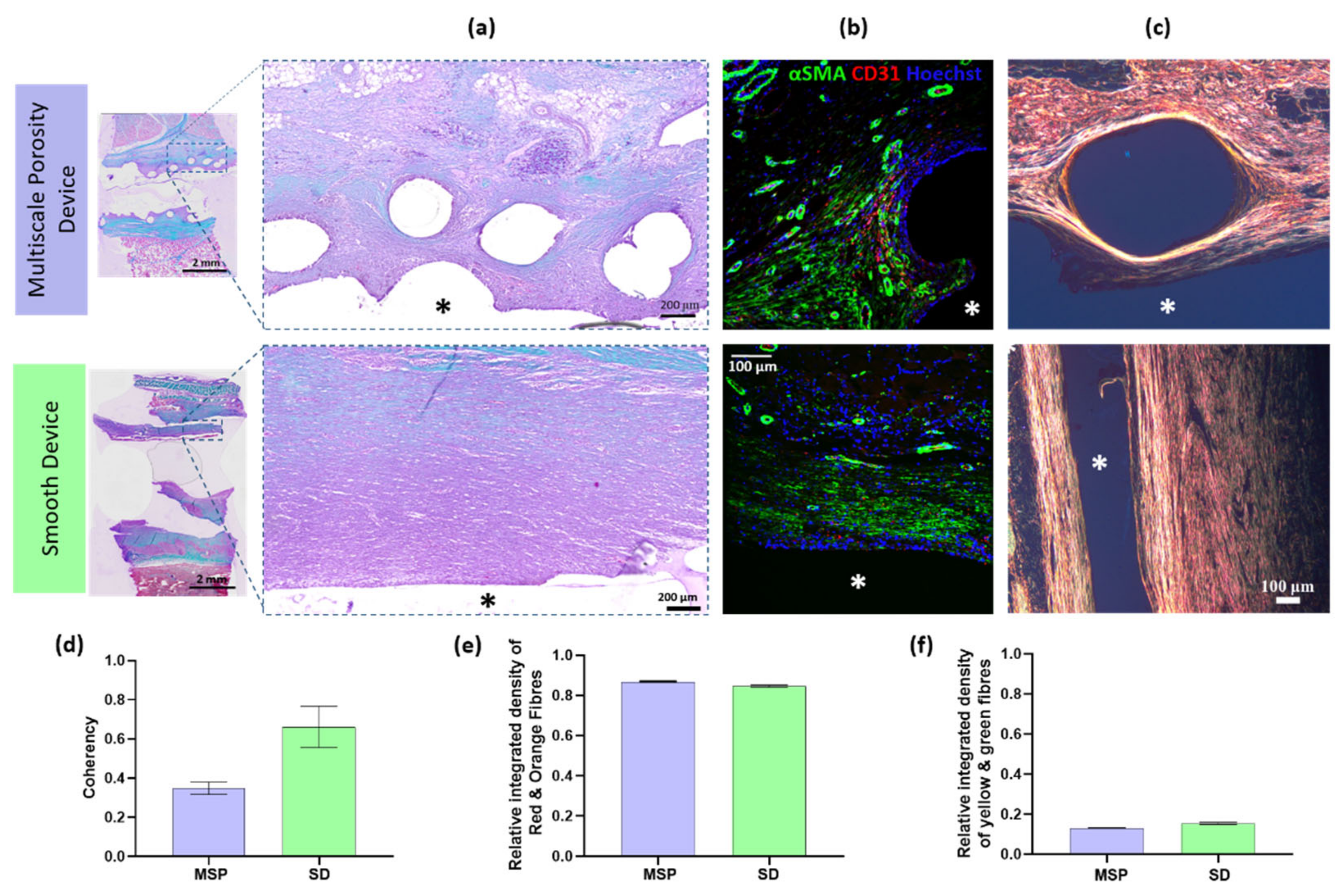 Polymers 14 04819 g006