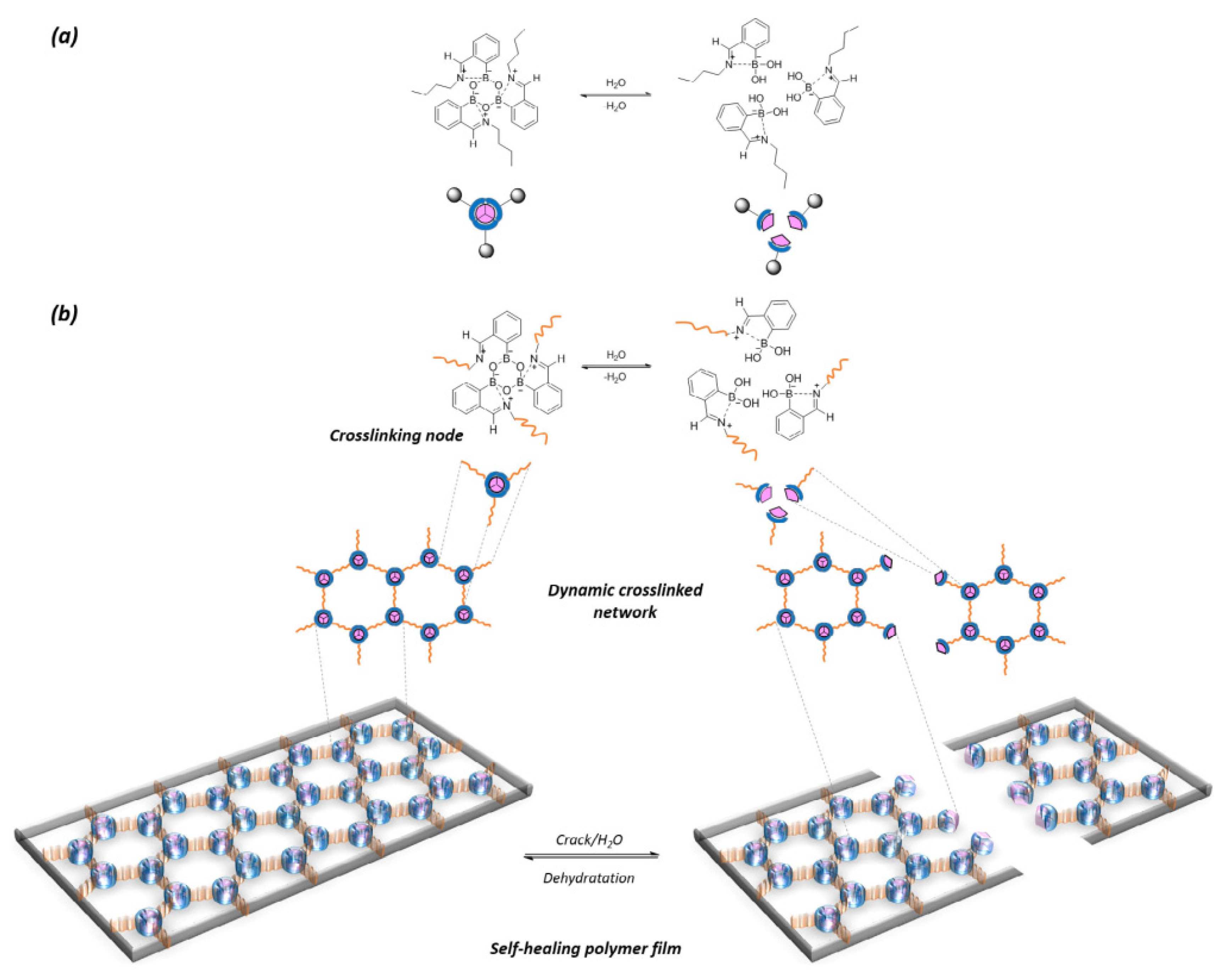 Polymers 14 04824 g007