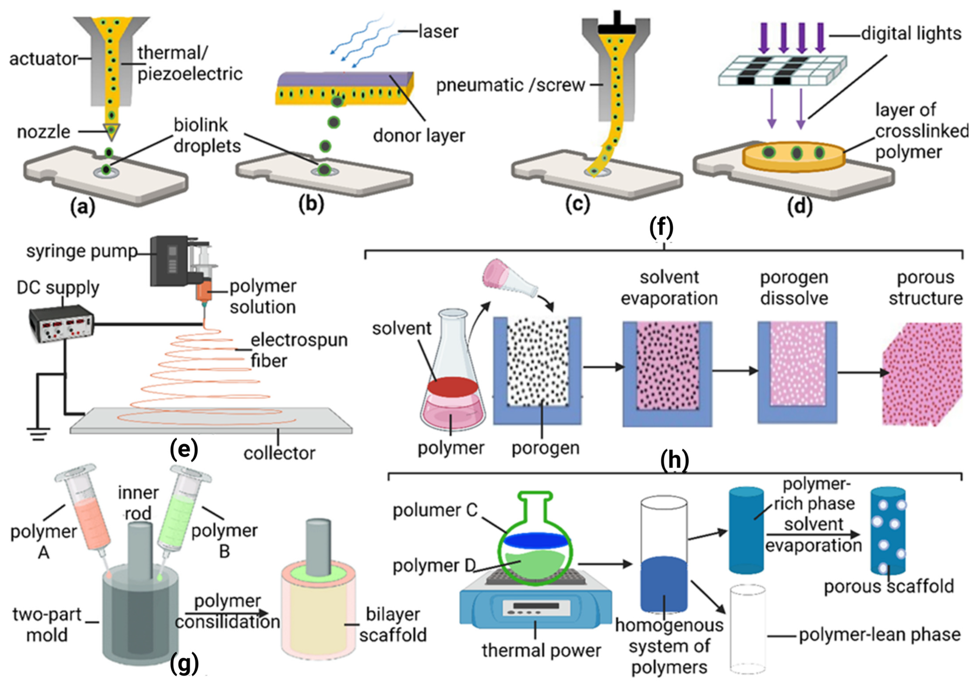 Polymers 14 04825 g001