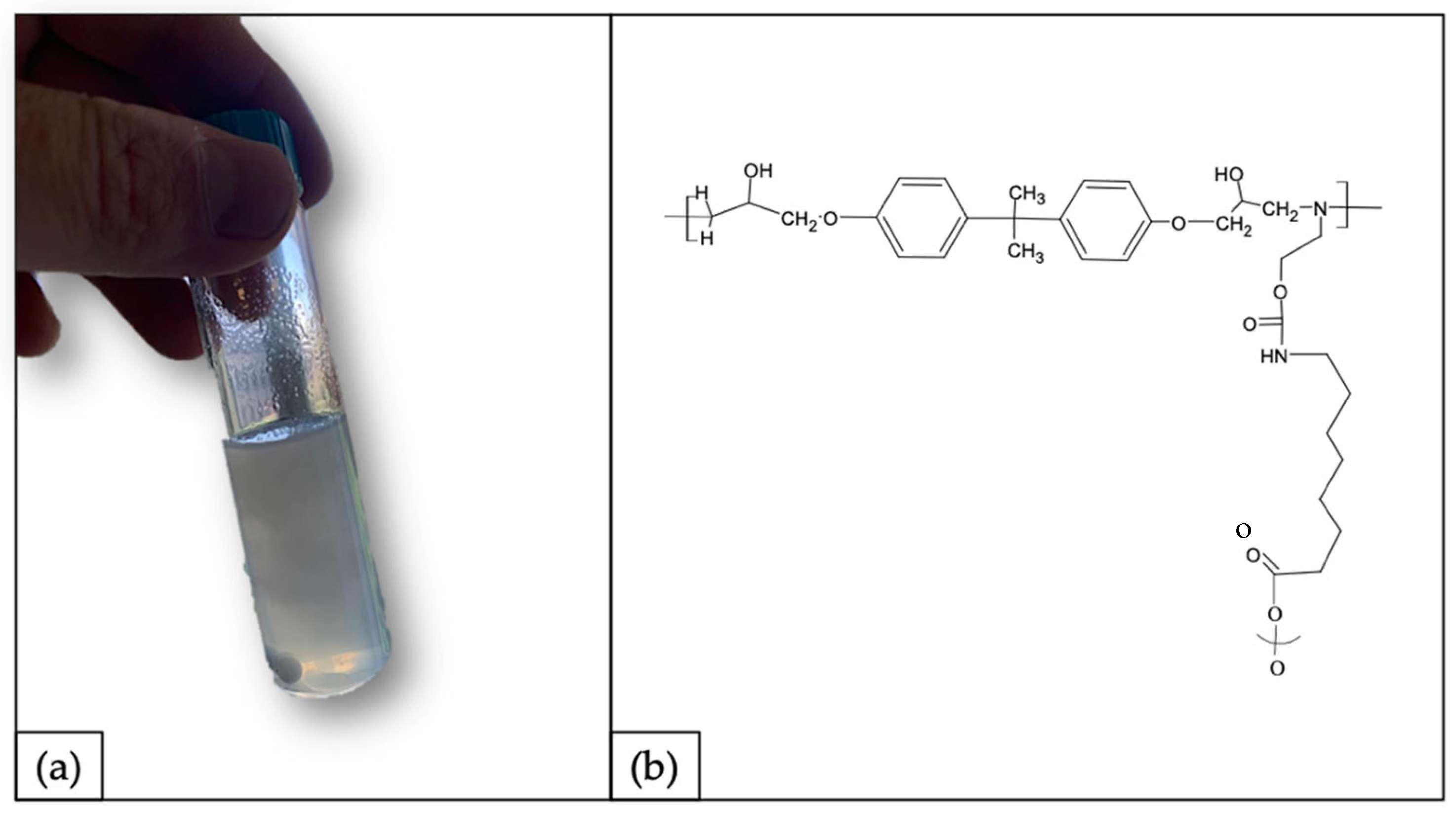 Polymers 14 04828 g011