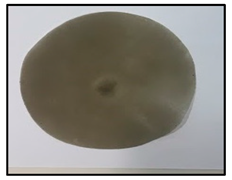 Polymers 14 04830 i003 Polymers 14 04830 i003