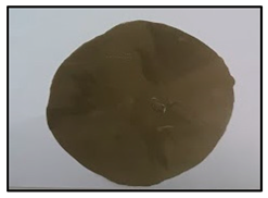 Polymers 14 04830 i004 Polymers 14 04830 i004