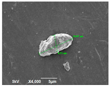 Polymers 14 04830 i011 Polymers 14 04830 i011