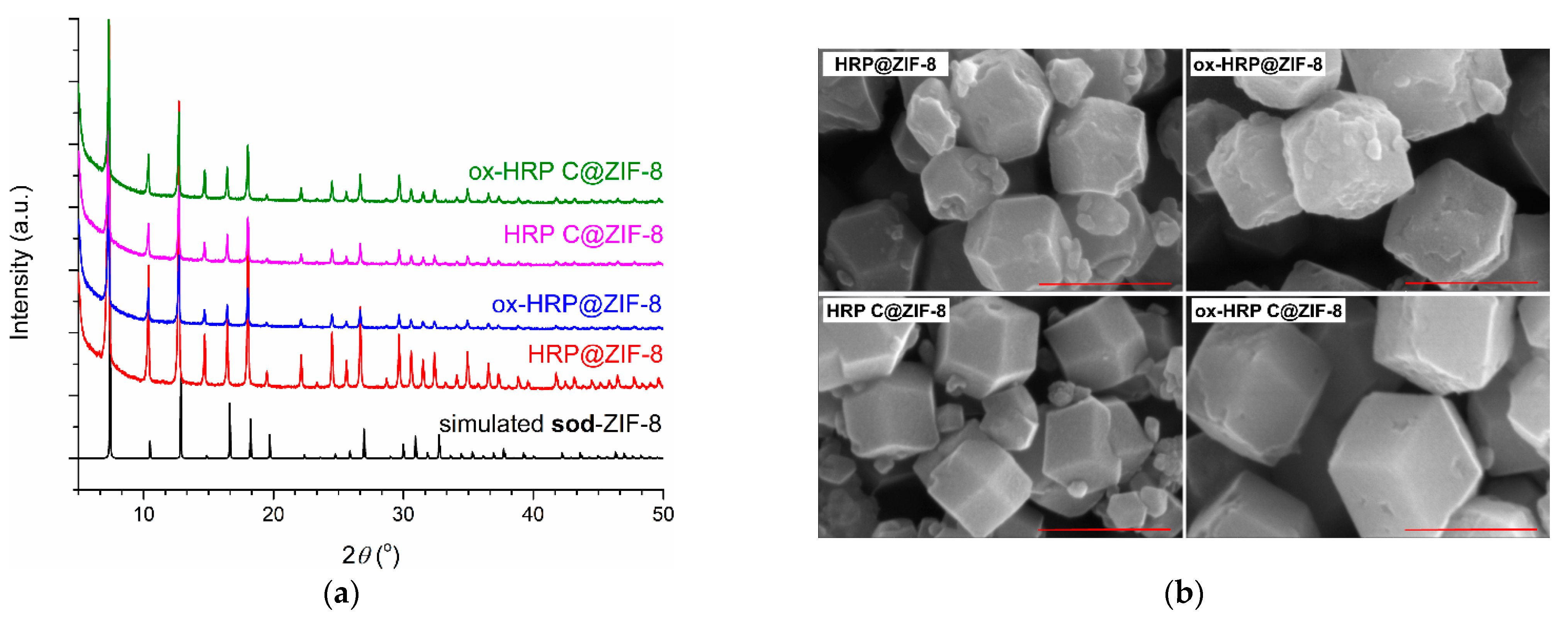 Polymers 14 04834 g003 Polymers 14 04834 g003