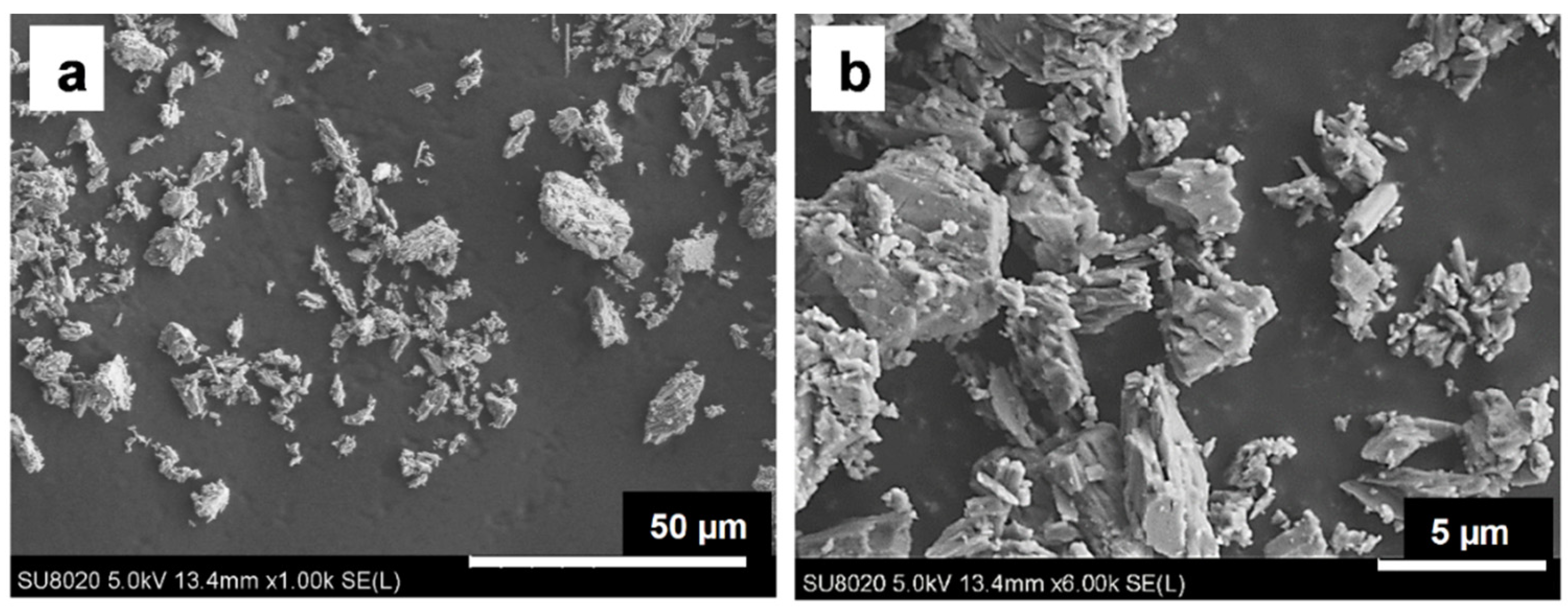 Polymers 14 04836 g001