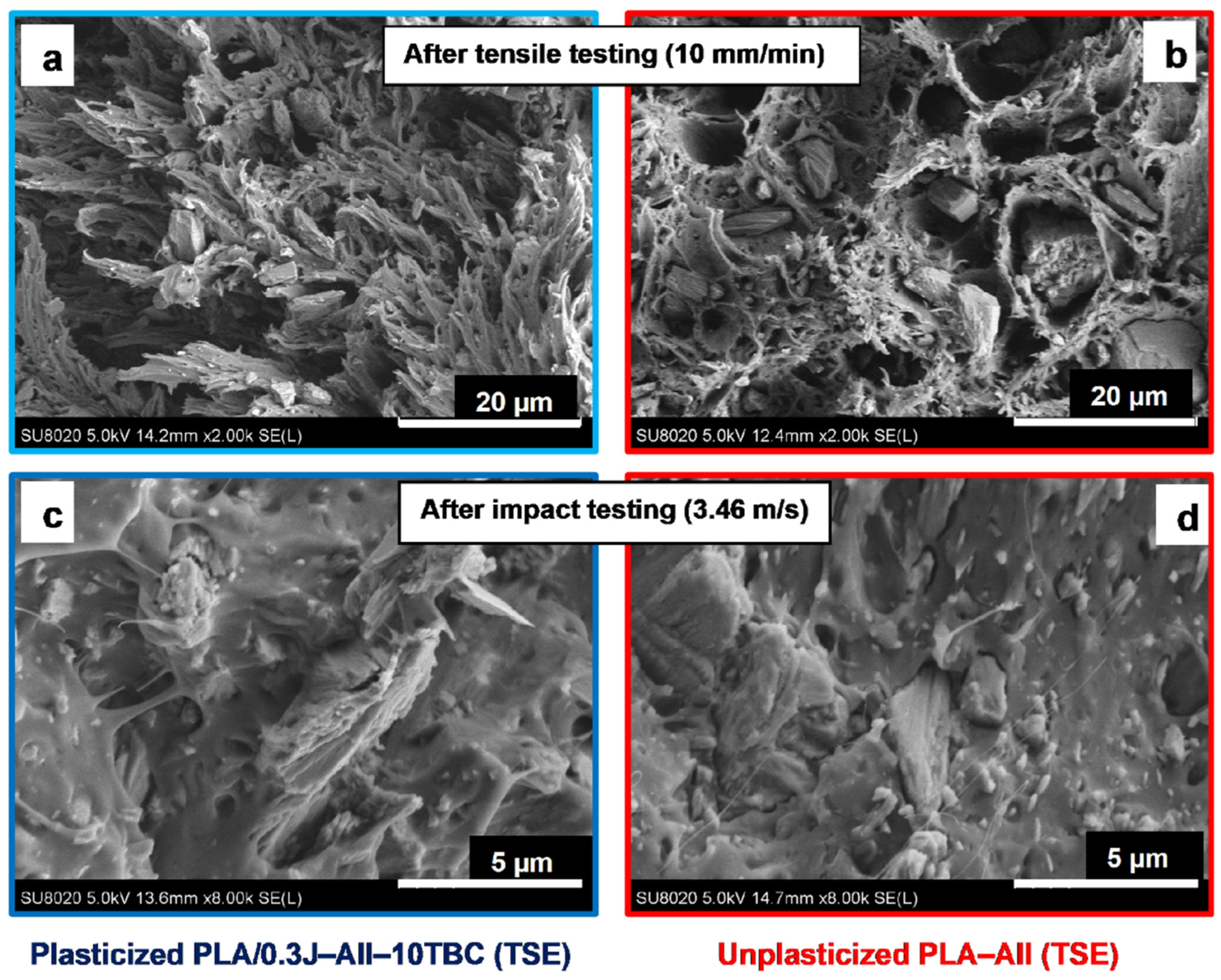 Polymers 14 04836 g014