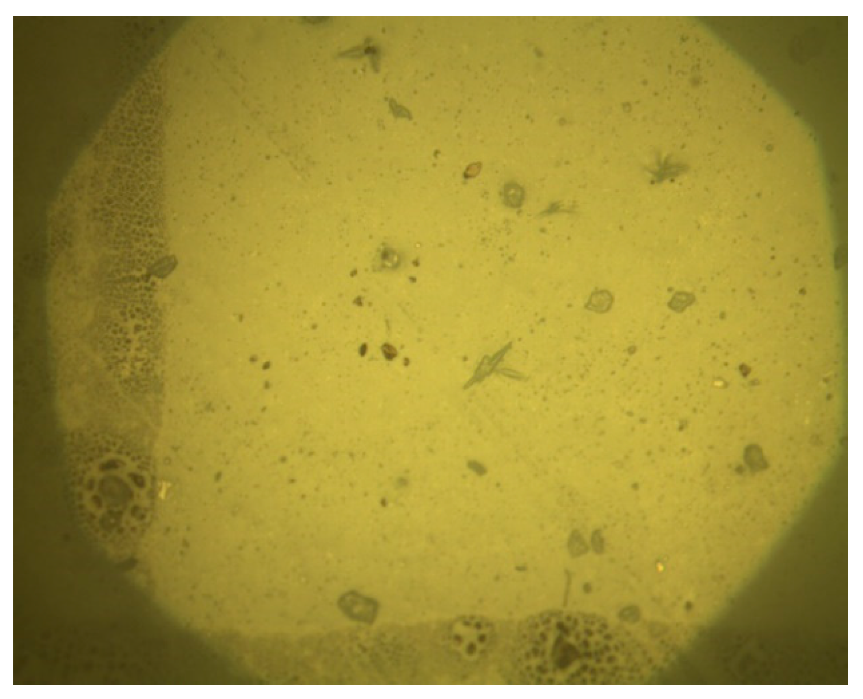 Polymers 14 04837 g004