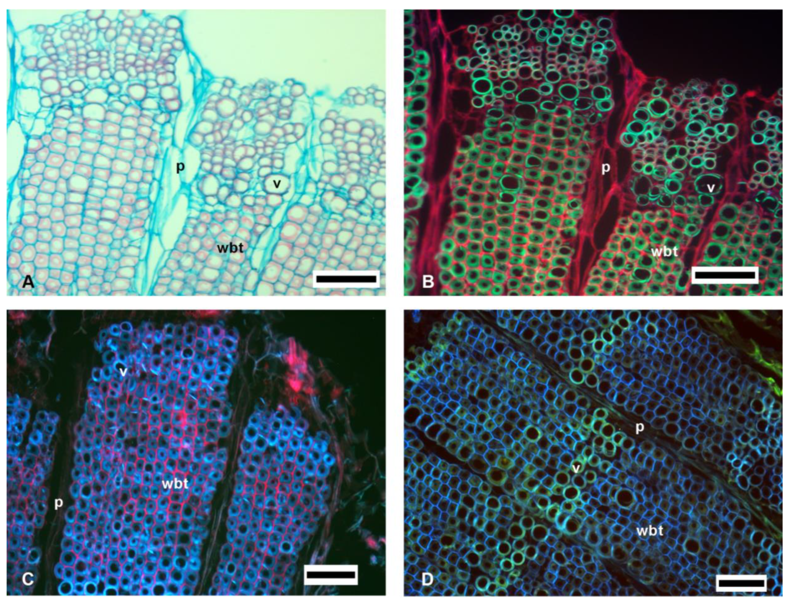 Polymers 14 04840 g002 Polymers 14 04840 g002